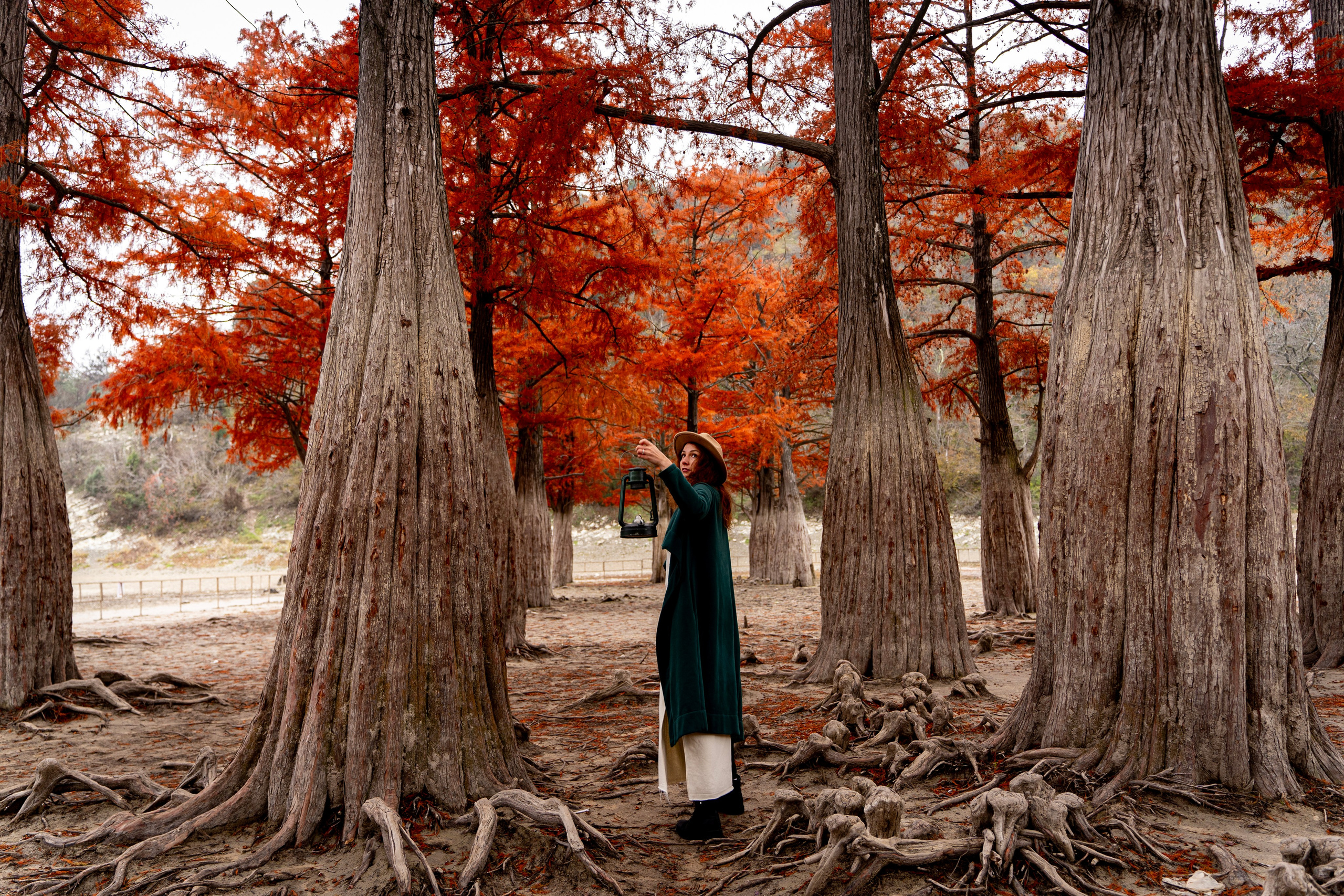 Осенняя фотосессия в Анапе — яркие кипарисы. Семейный и детский фотограф Екатерина Черняева. Снимаю портреты, love story, фотопрогулки, работаю на улице, в кафе, студии, дома у клиента