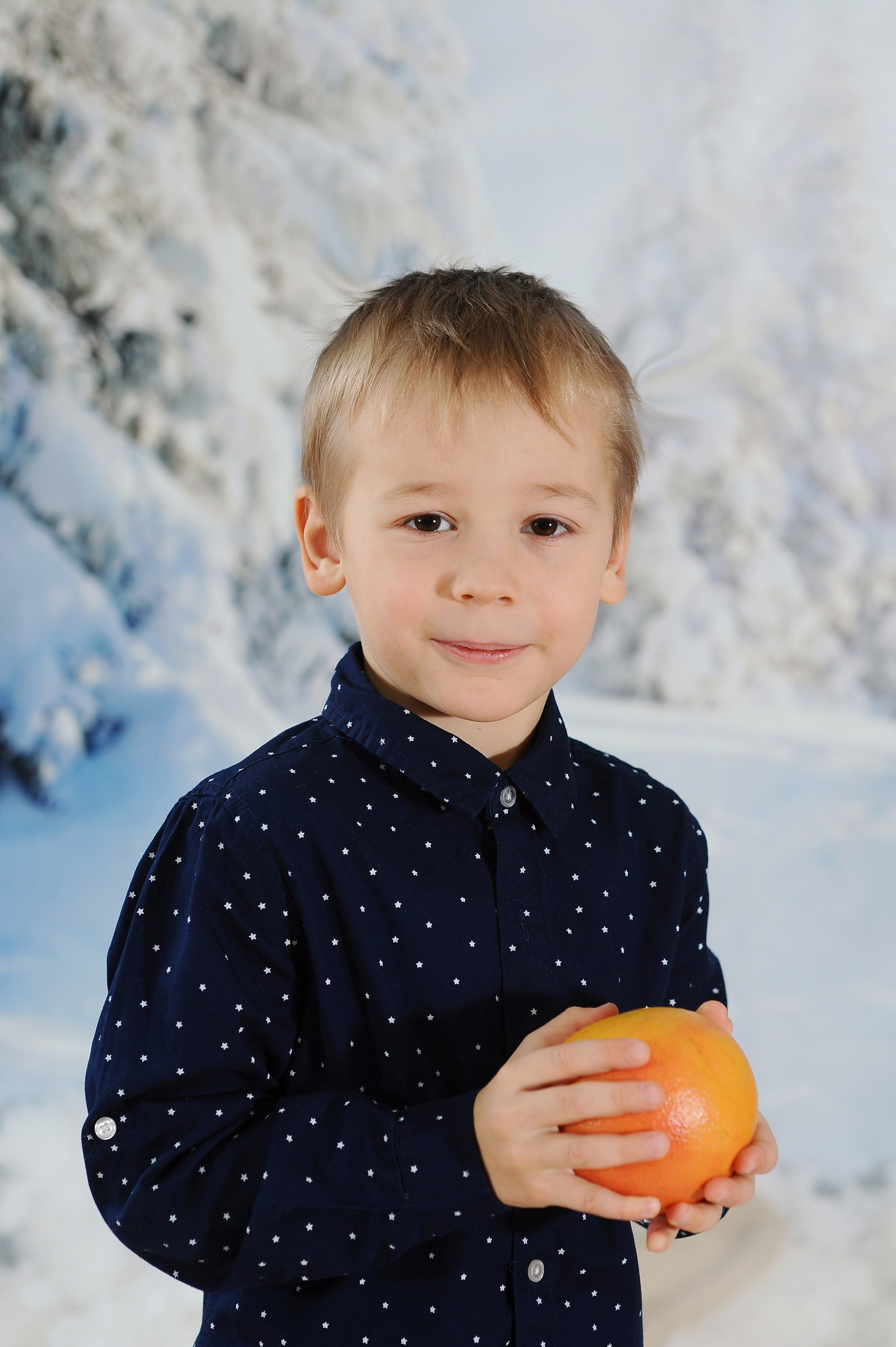 Новогодний лес