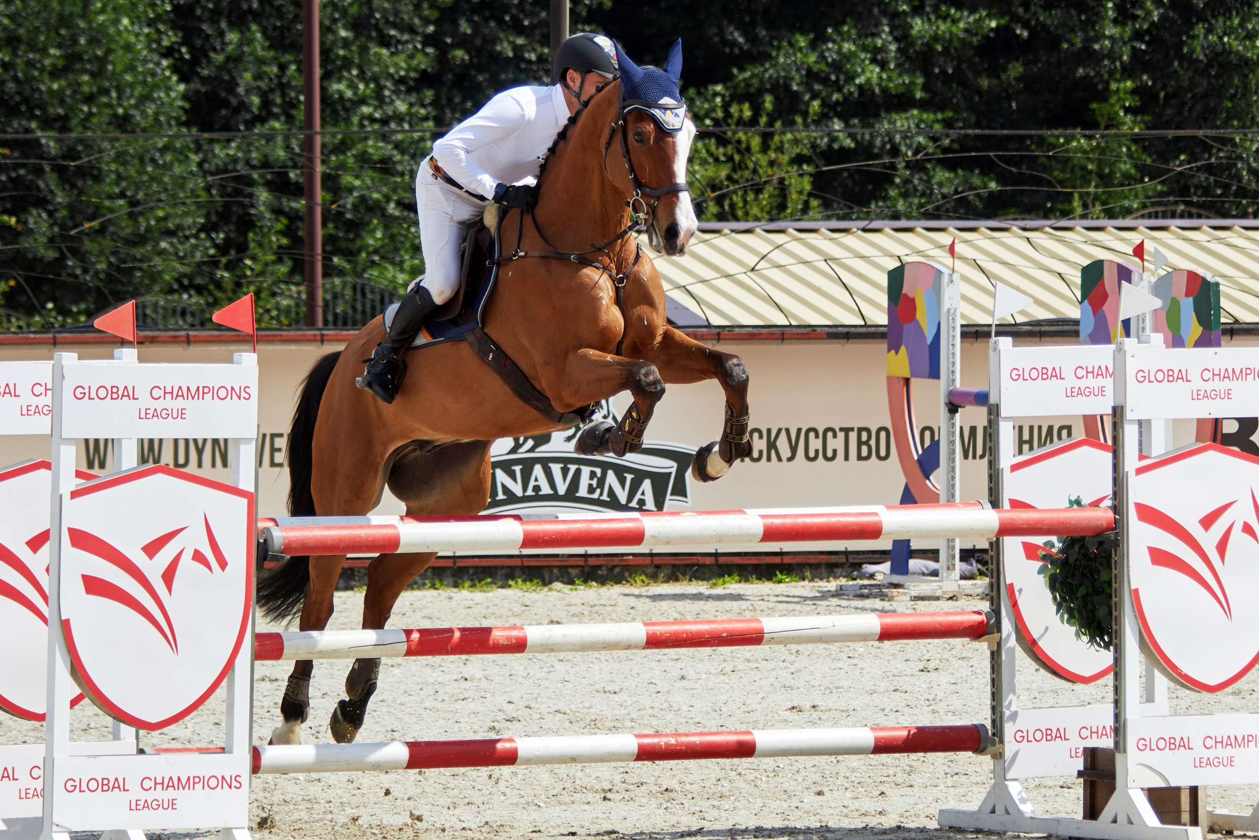 Конкур в «Виват, Россия». Фотограф анималист — Тула, Москва