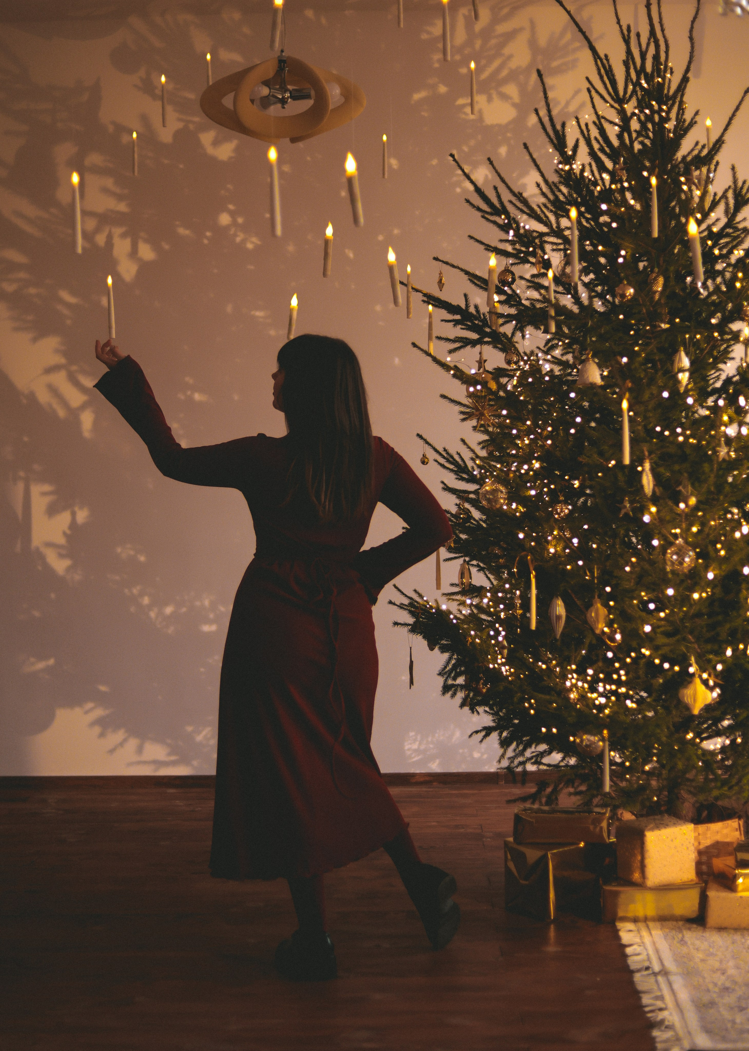 Новый год. Meryfotoidea