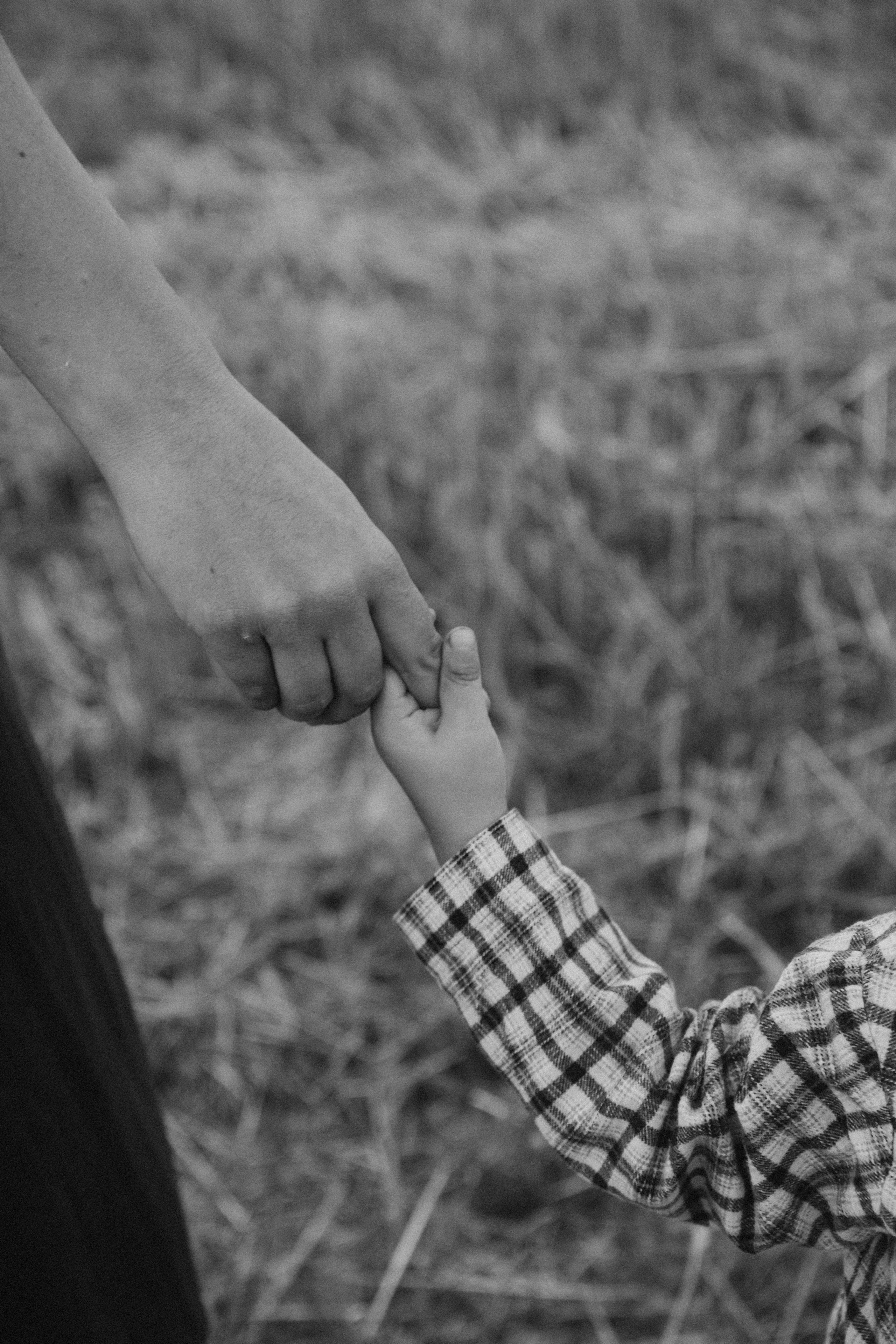 Ира и малыши. Детский и семейный фотограф в Пушкино, Мытищи, Москва Сергеева Светлана