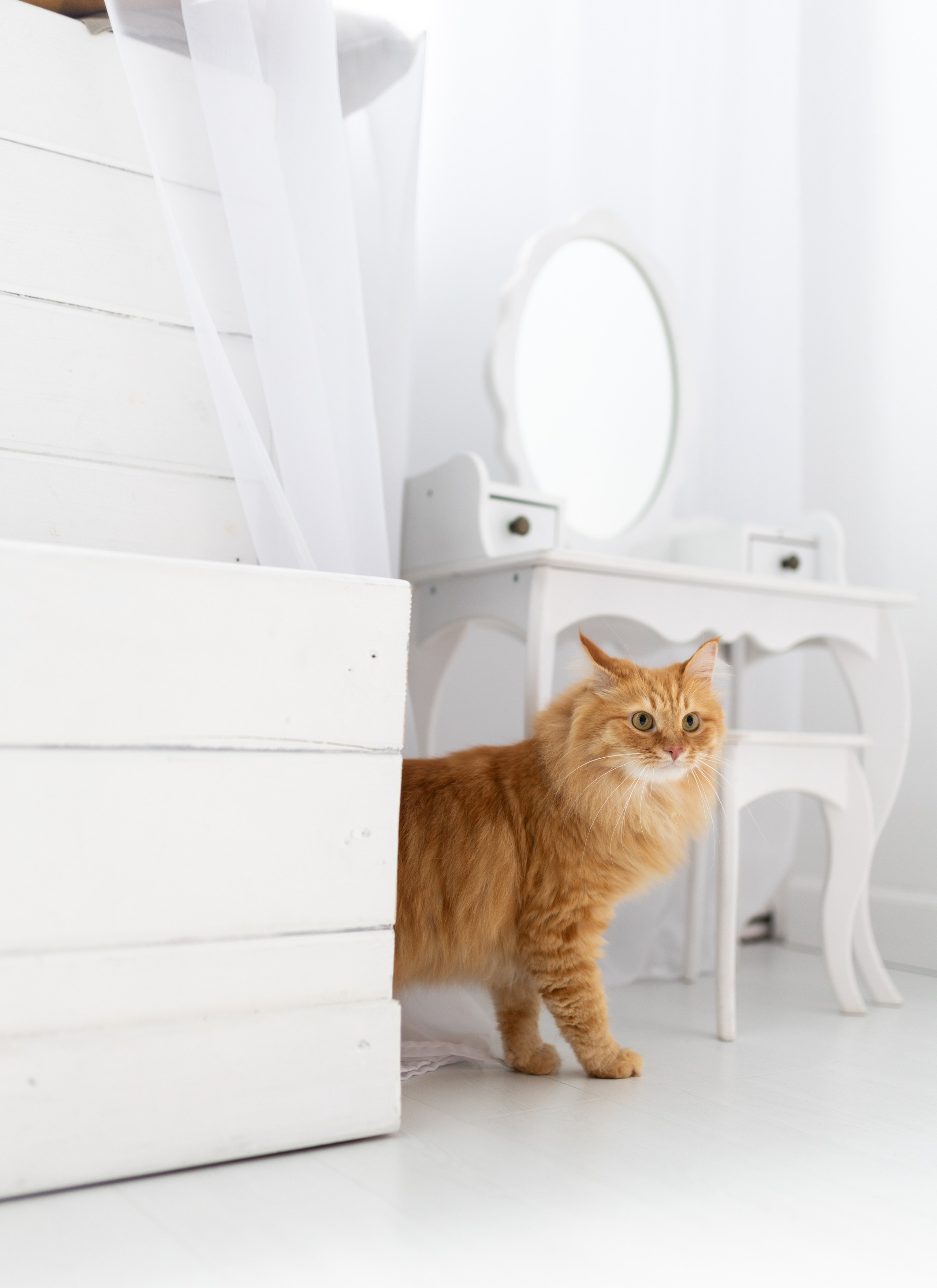 Свадебный и семейный фотограф в Москве Вероника Сычева