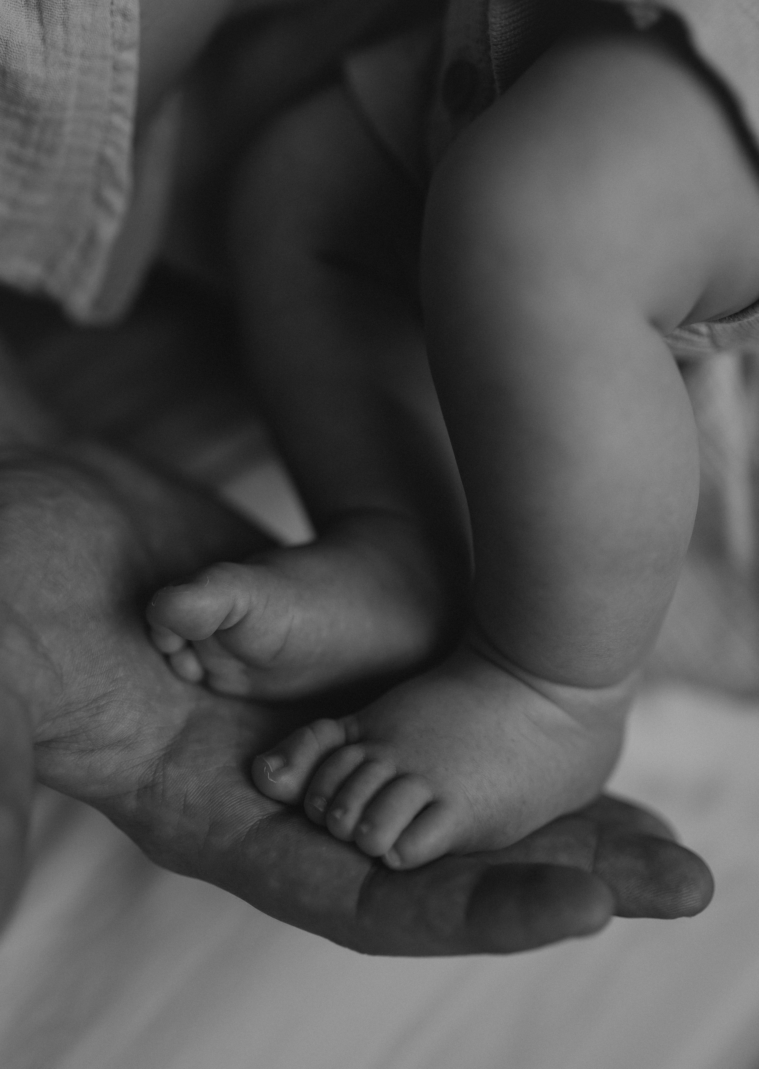 Миронова Анастасия