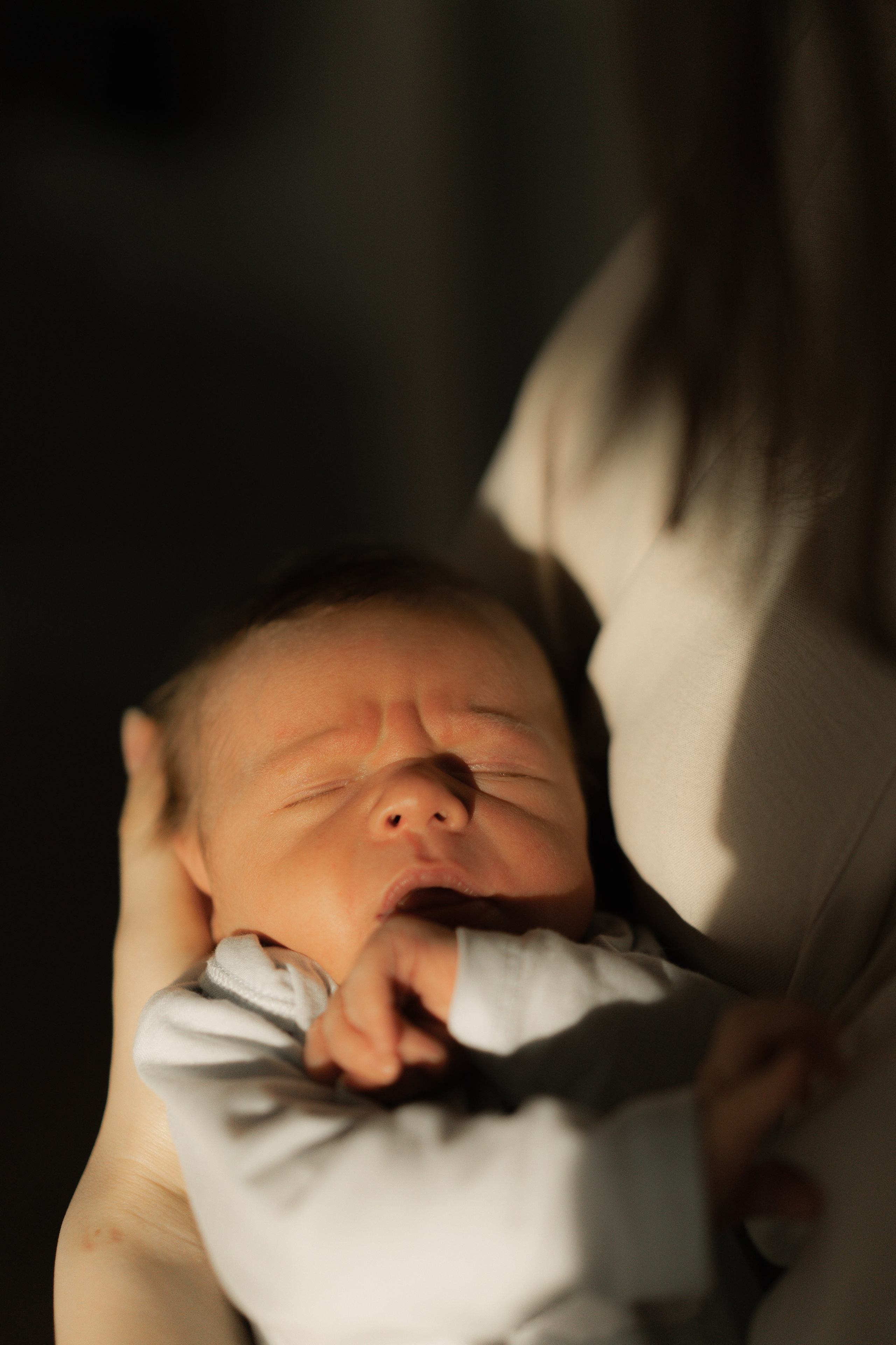 M + Л & И. Фотограф Милованова Александра