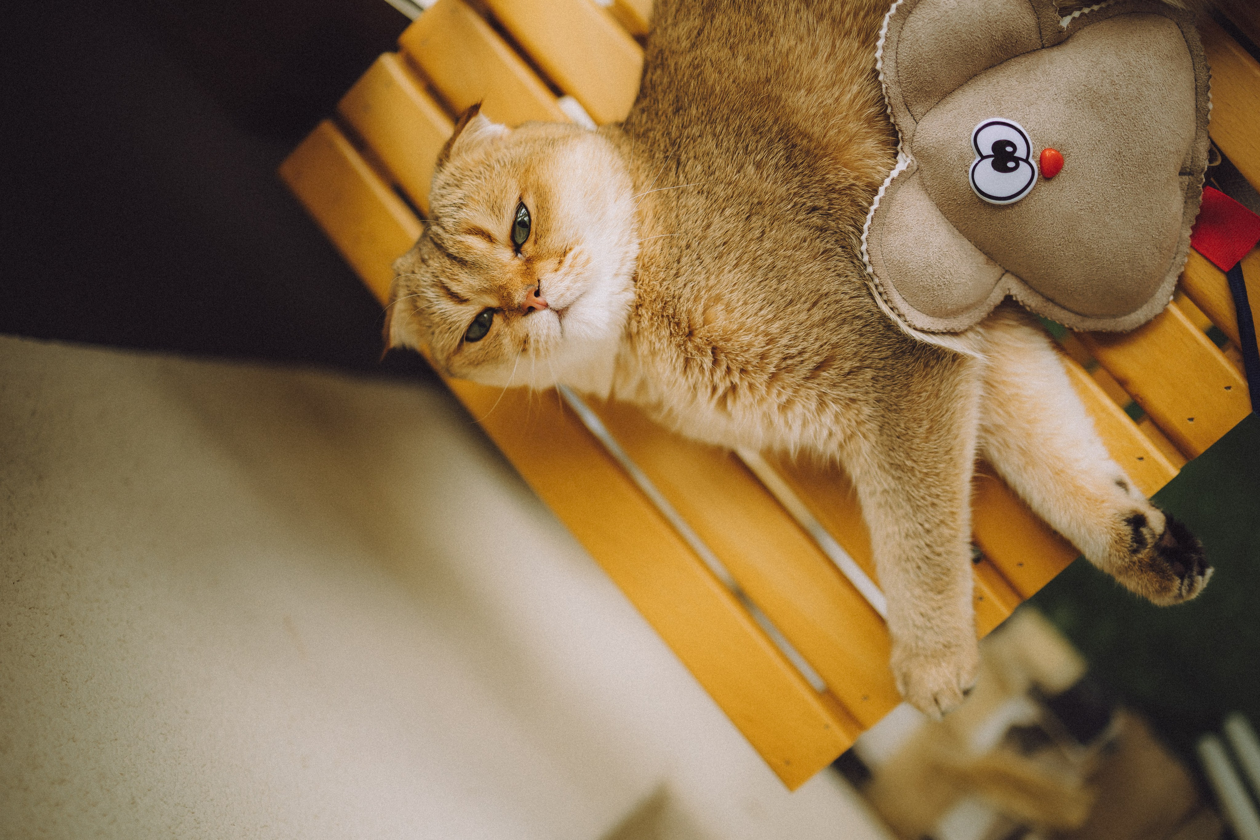 Генри и его семья