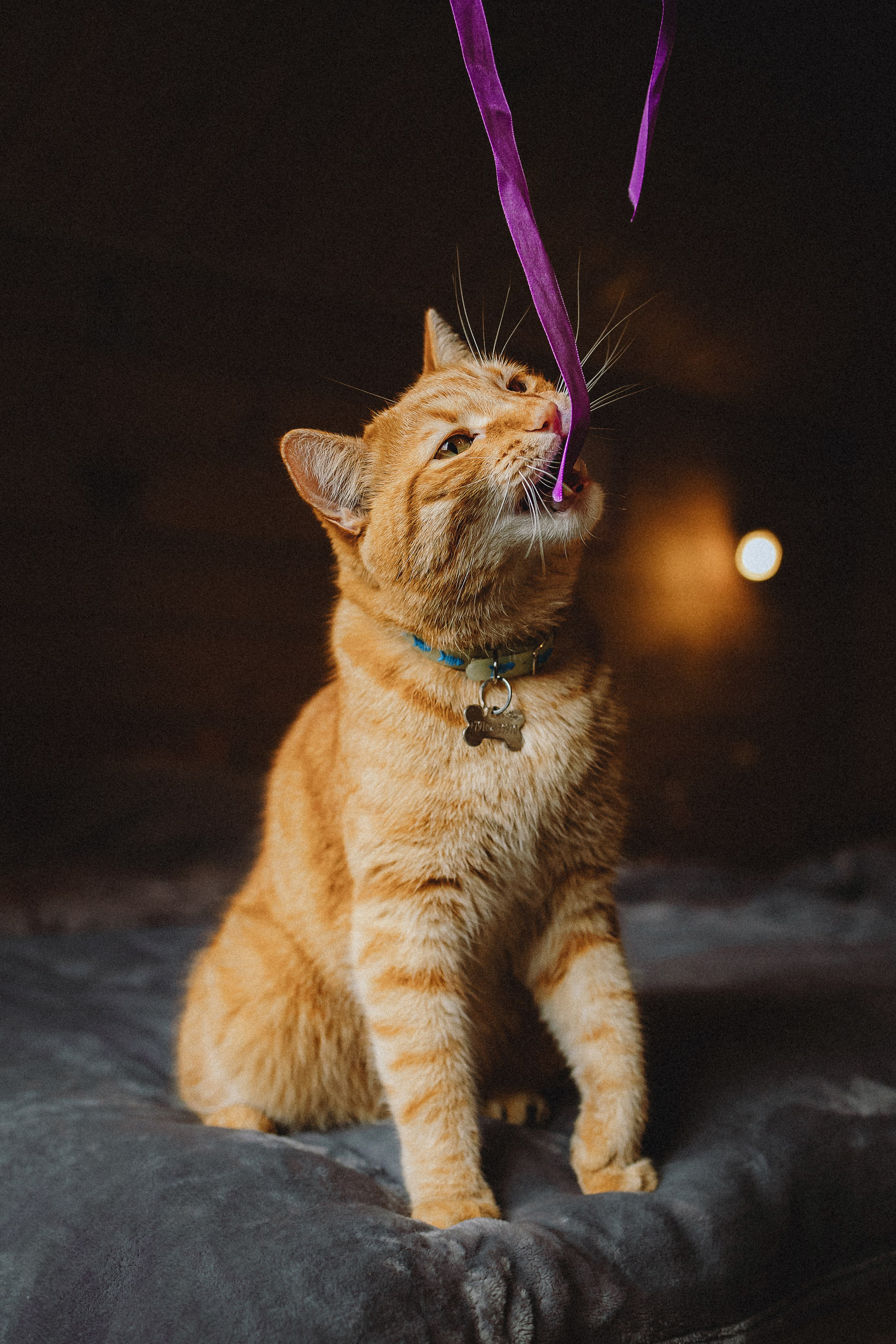 Леброн, Муся и их семья