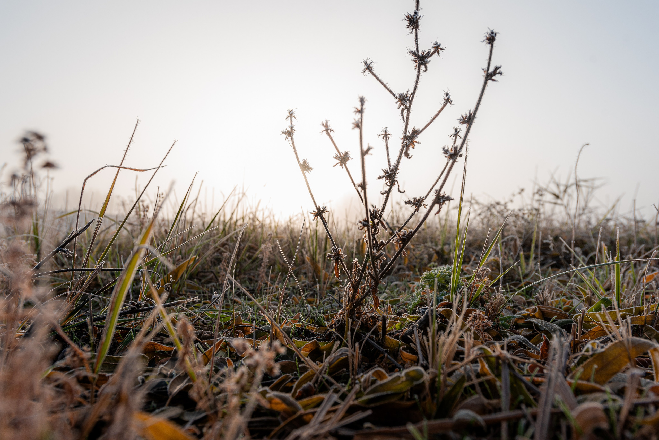 Фотографии утреннего тумана под Волжским. Фотограф в Волгограде и Волжском Александр Горбань