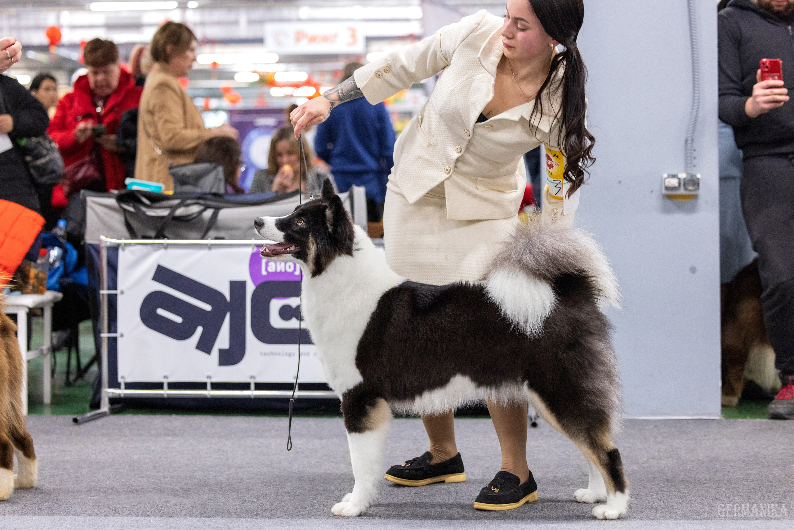 Крокус 10.02,Сфера 11.02.2024. Фотограф-анималист Юлия Германика