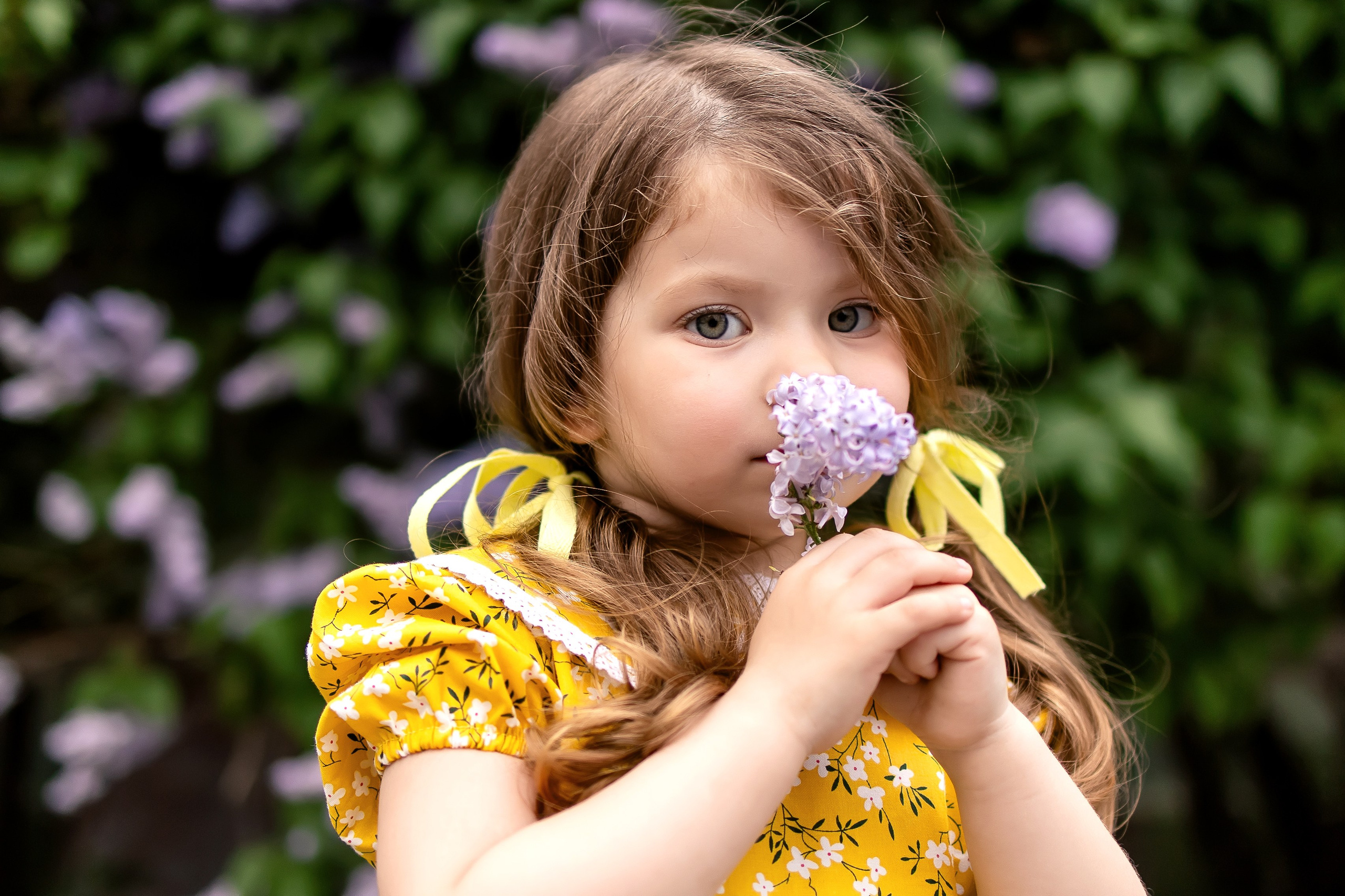 Анюта в сирени. Семейный и детский фотограф Оля в Тюмени