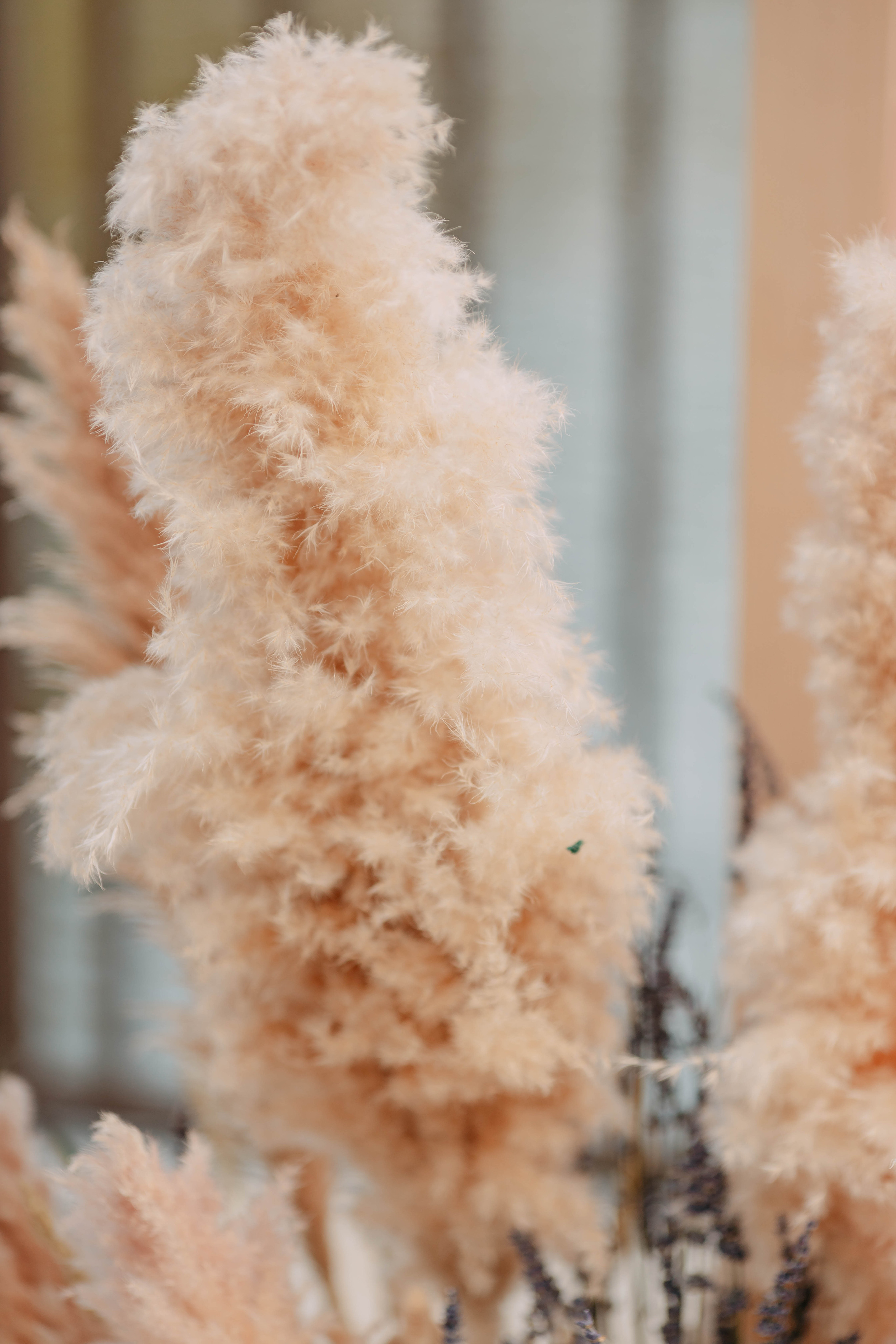 Диана и Матвей. Фото и видео съемка. Андрей Ионов