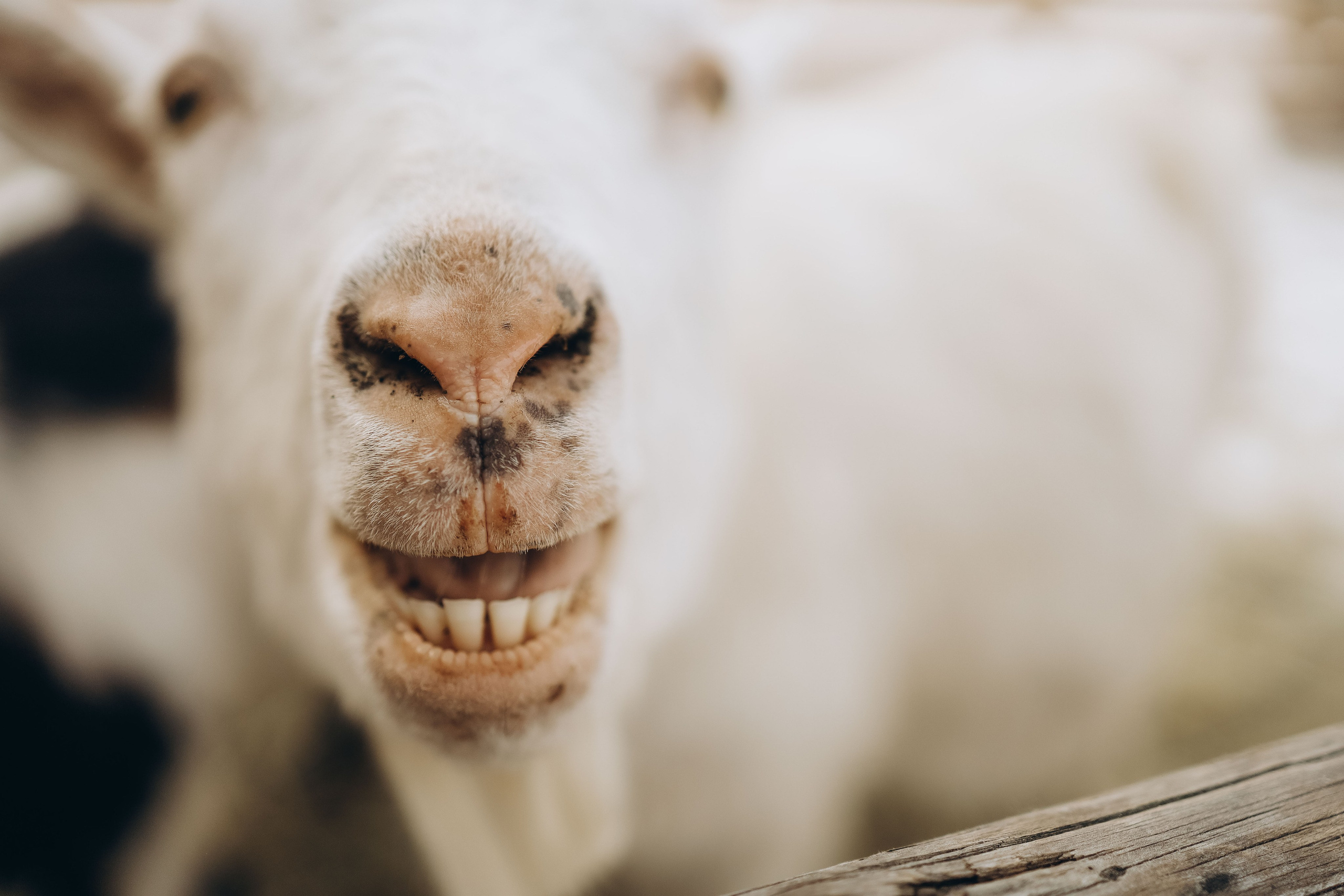 Репортажные съемки. Мария Пырина | Фотограф Екатеринбург