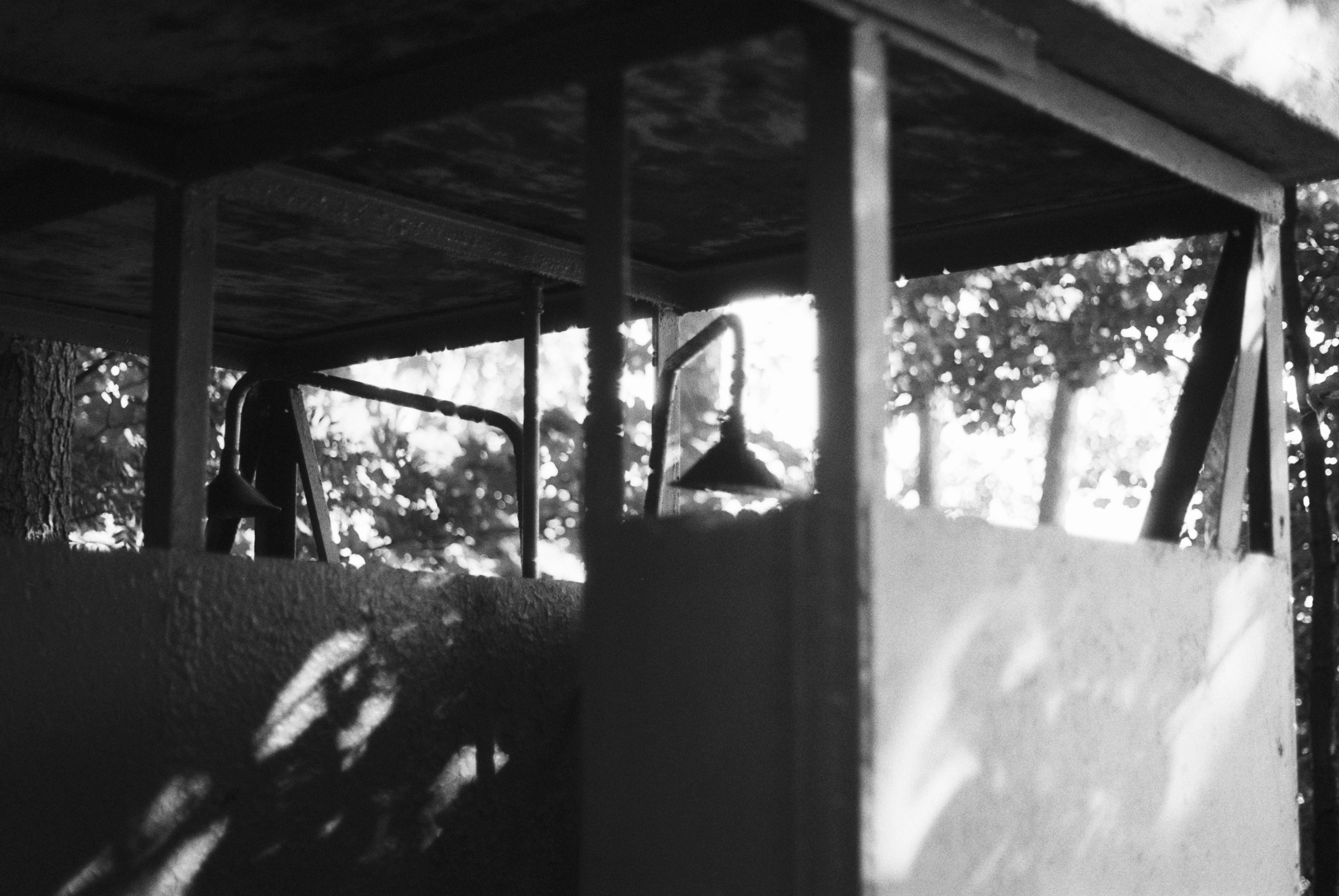 Картинки. Сандра Ковалева | ЧБ фотограф