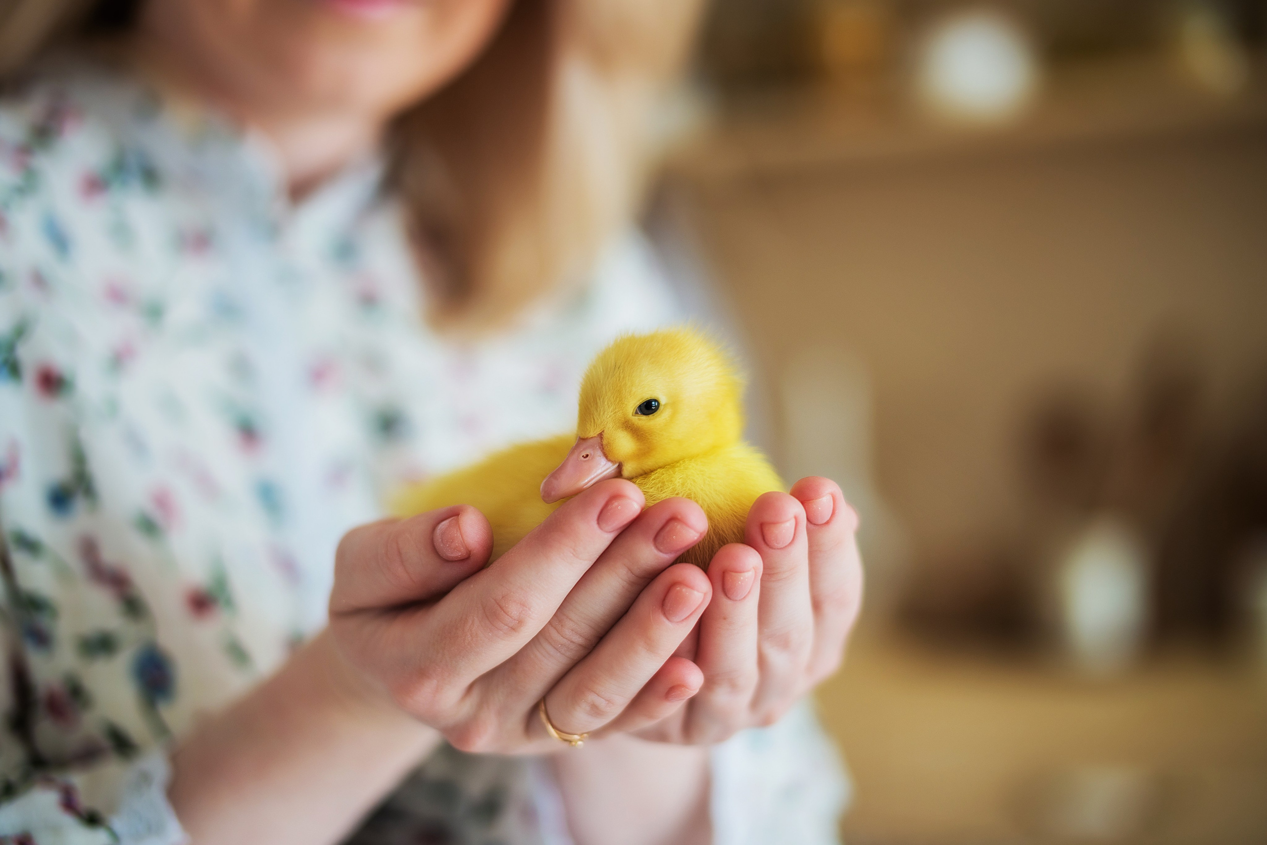 Дети и животные…самый милый альбом. Семейный фотограф в Саратове