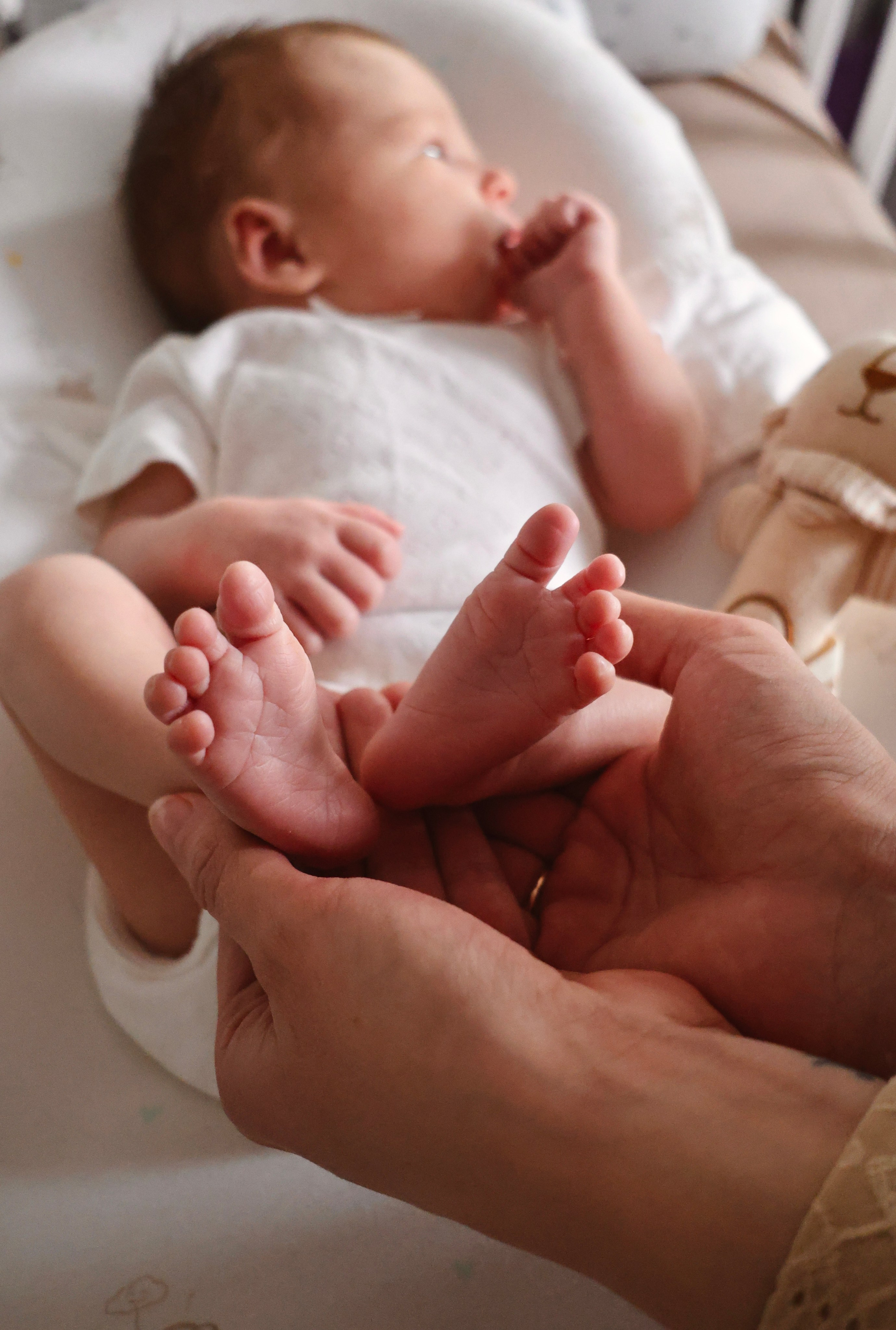 Новорождённые. Семейный и детский фотограф