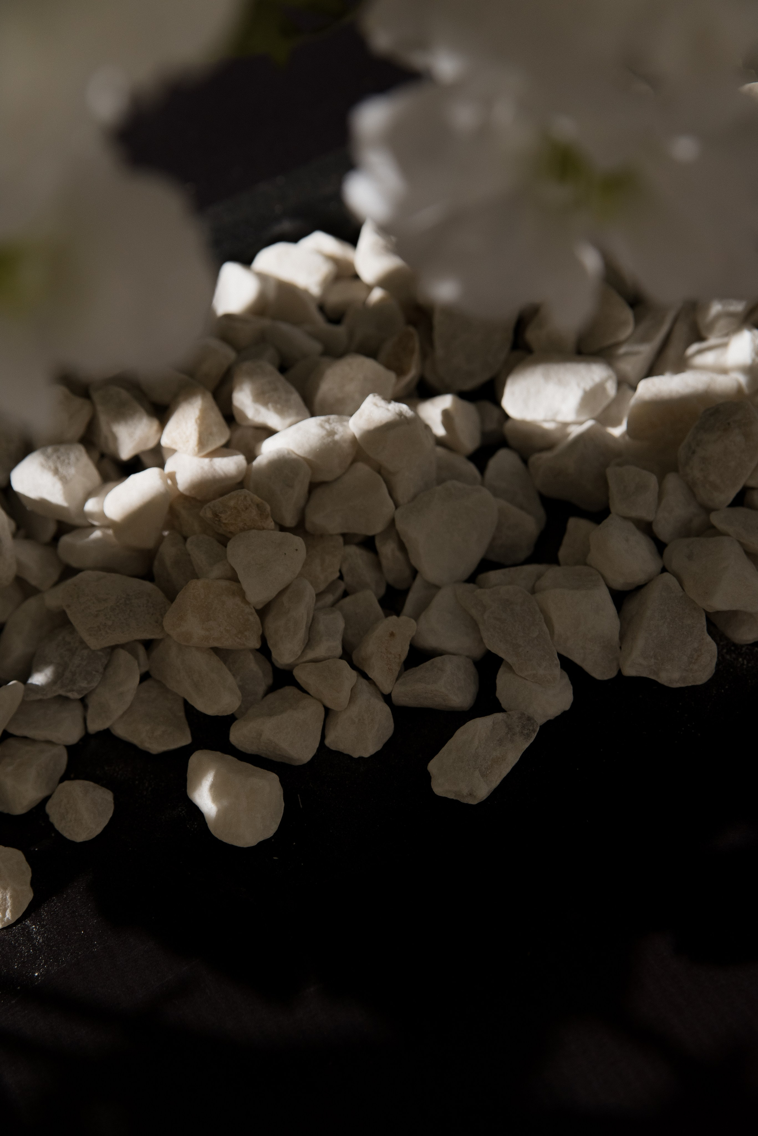 фотограф краснодар