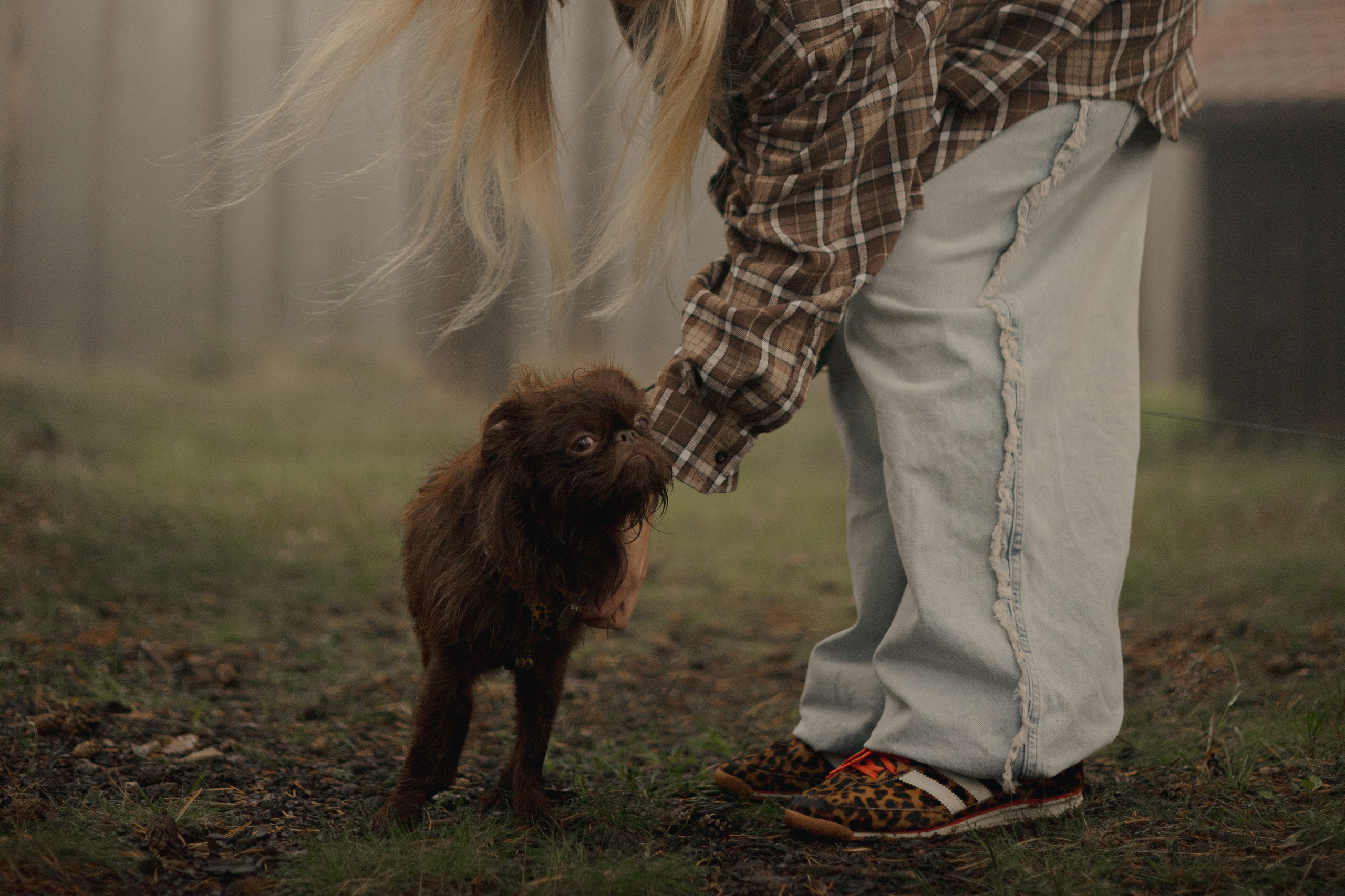 Наташа & Оззи & Йоша. Фотограф — анималист •love-story•|Санкт-Петербург