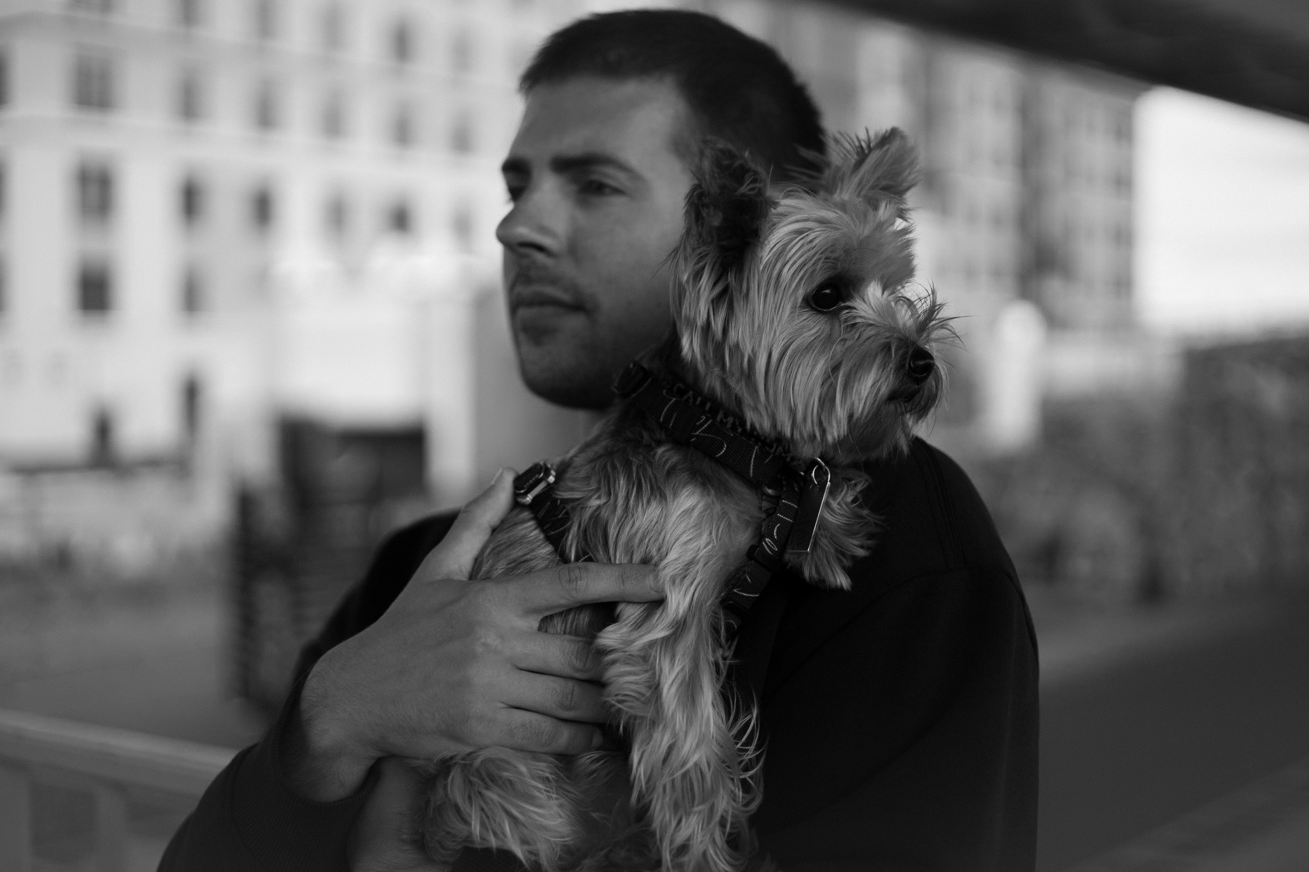 Андрей, Аня и Персик. Фотограф — анималист •love-story•|Санкт-Петербург