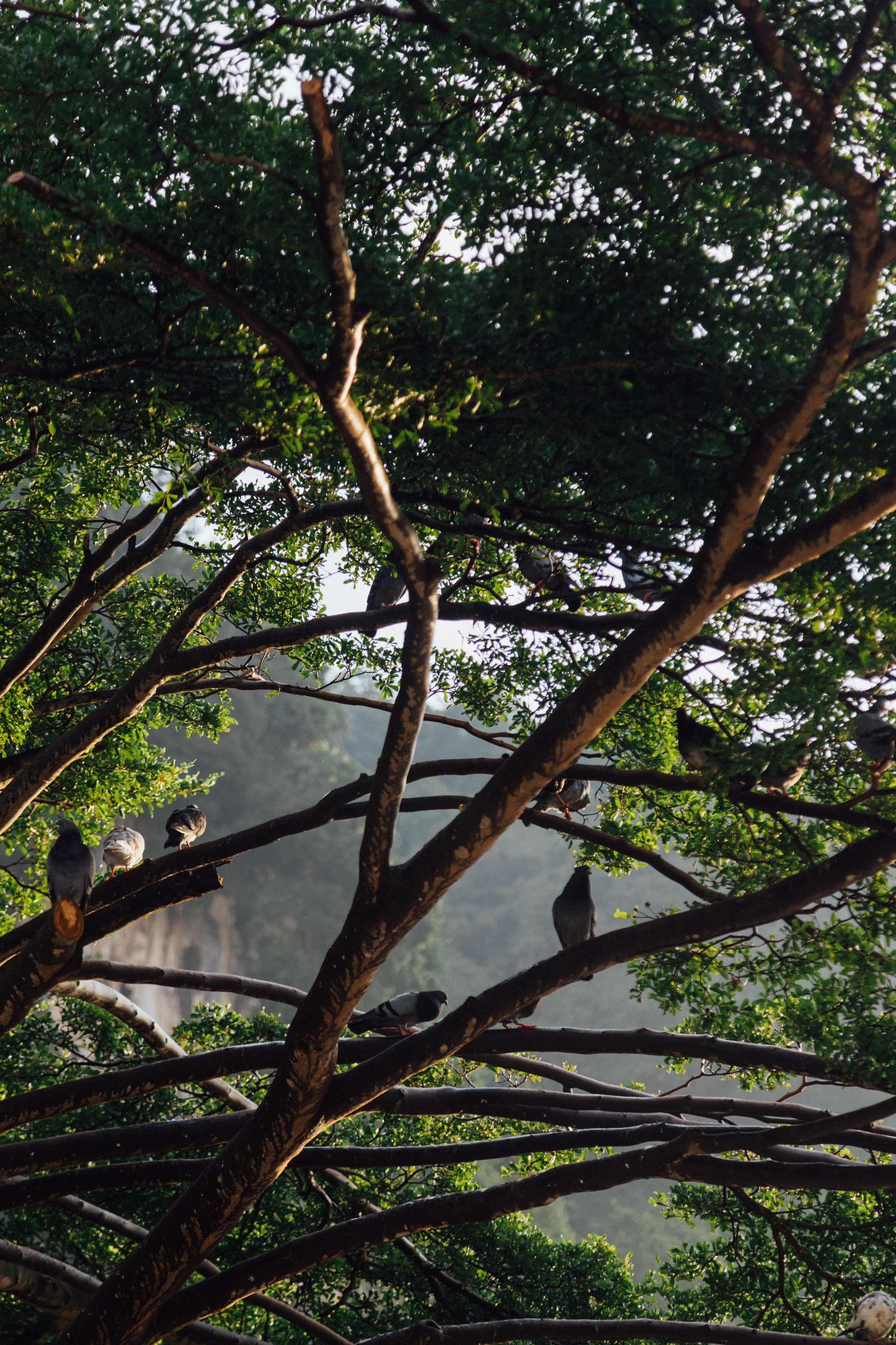 Kuala Lumpur, Malaysia. Главная
