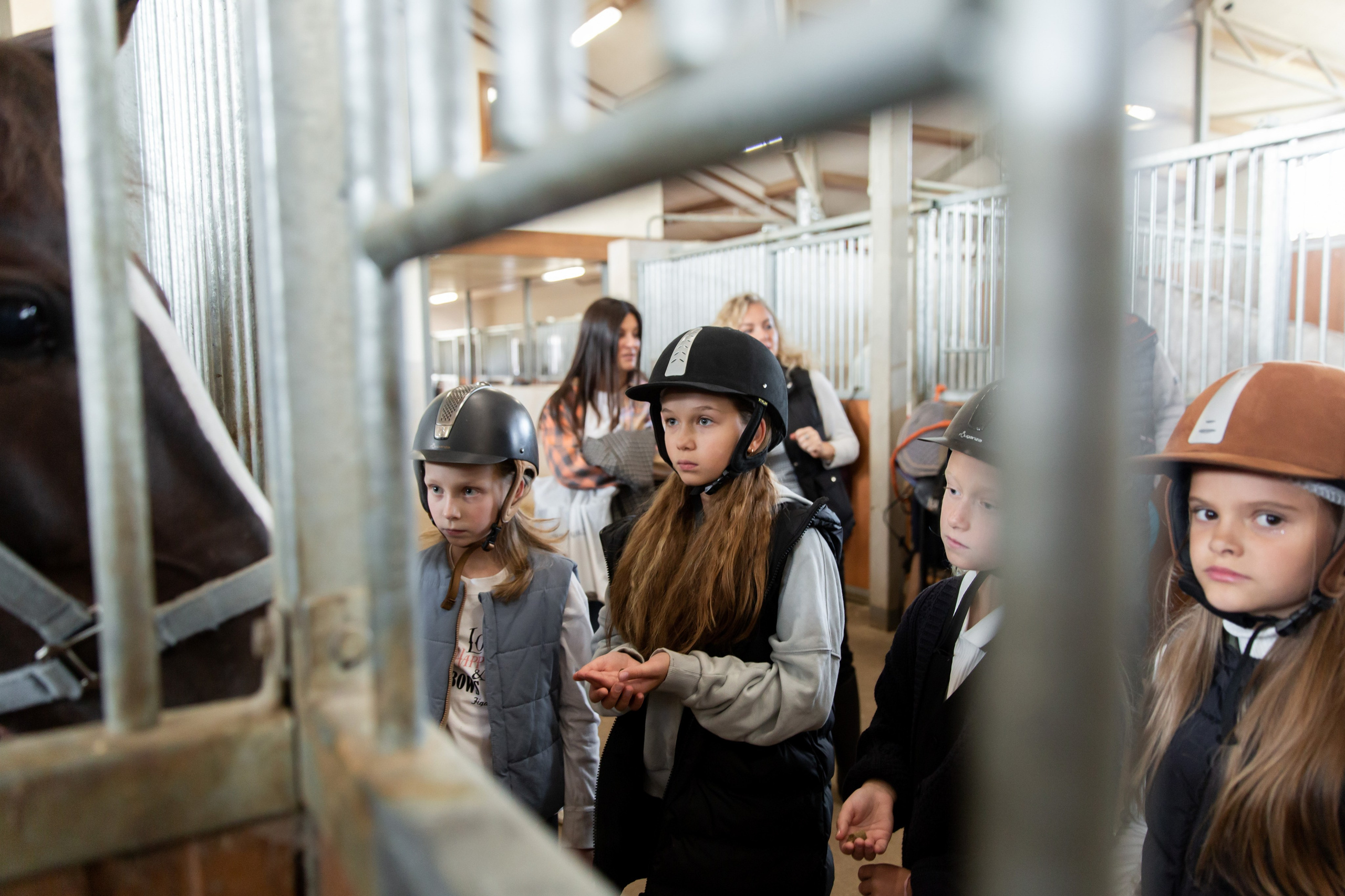 Конюшня. Снимаю съемки