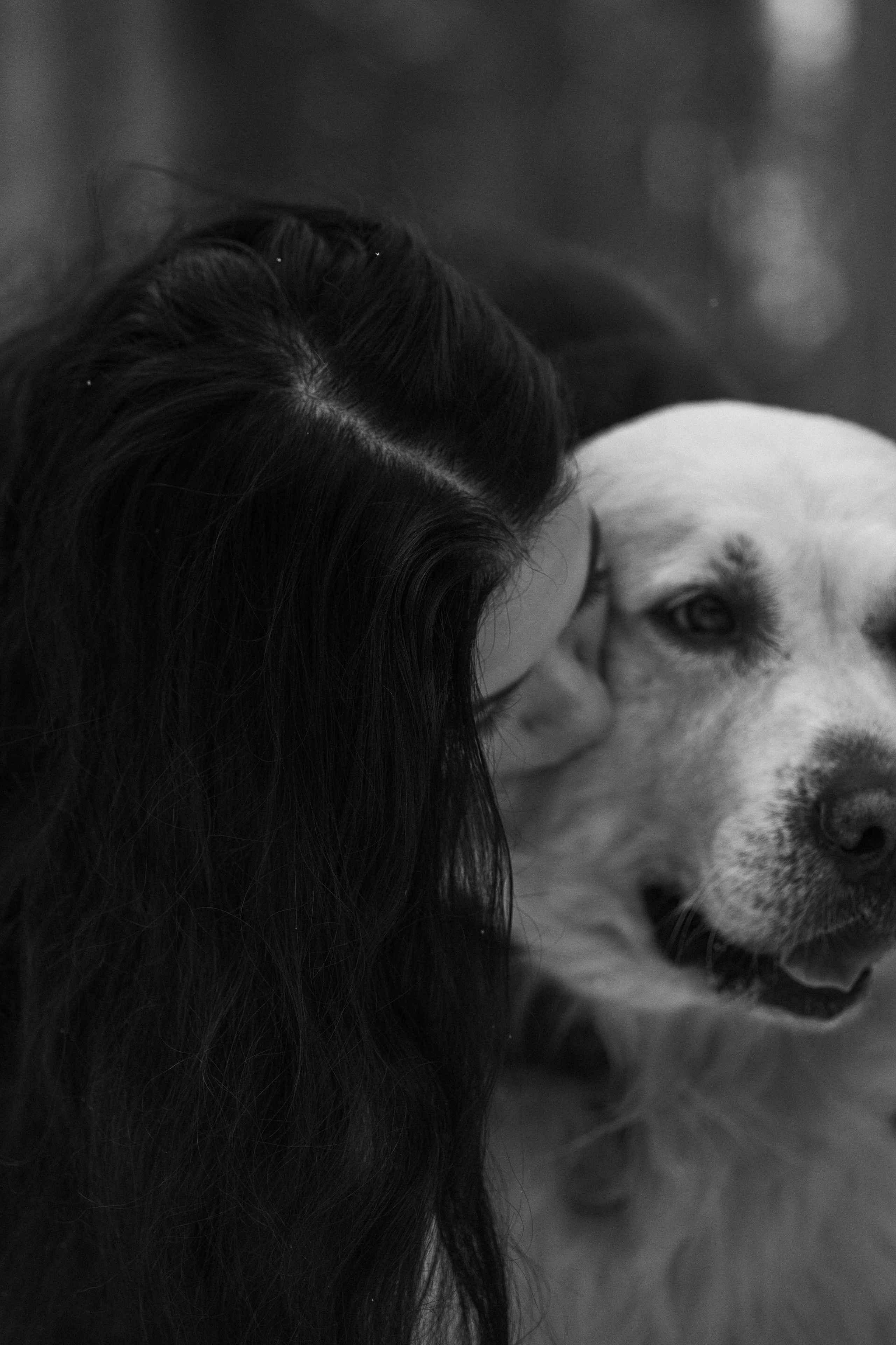 Вика и Лёва. Фотограф — Анималист | Санкт-Петербург