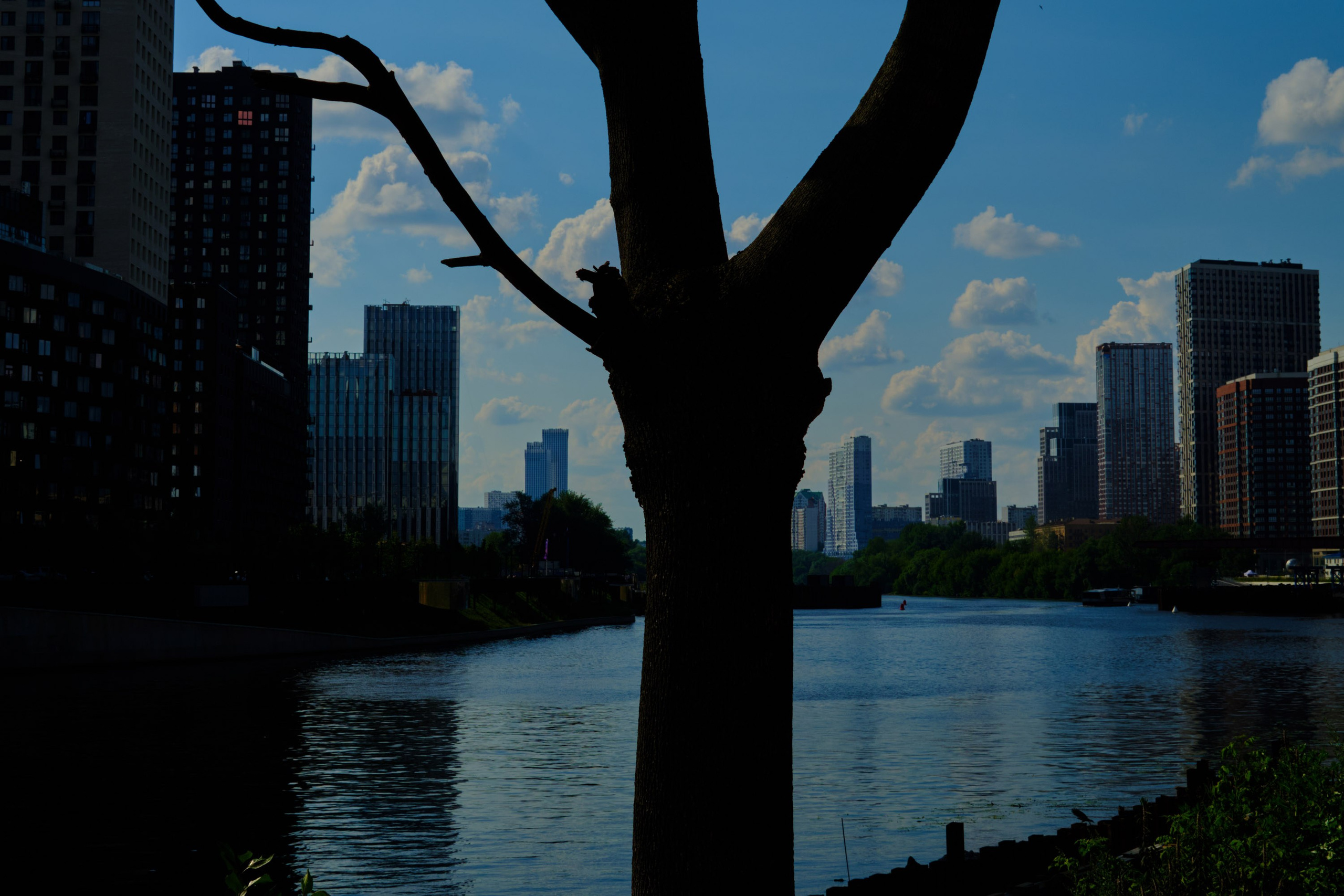 Фотограф Лука Бутомо