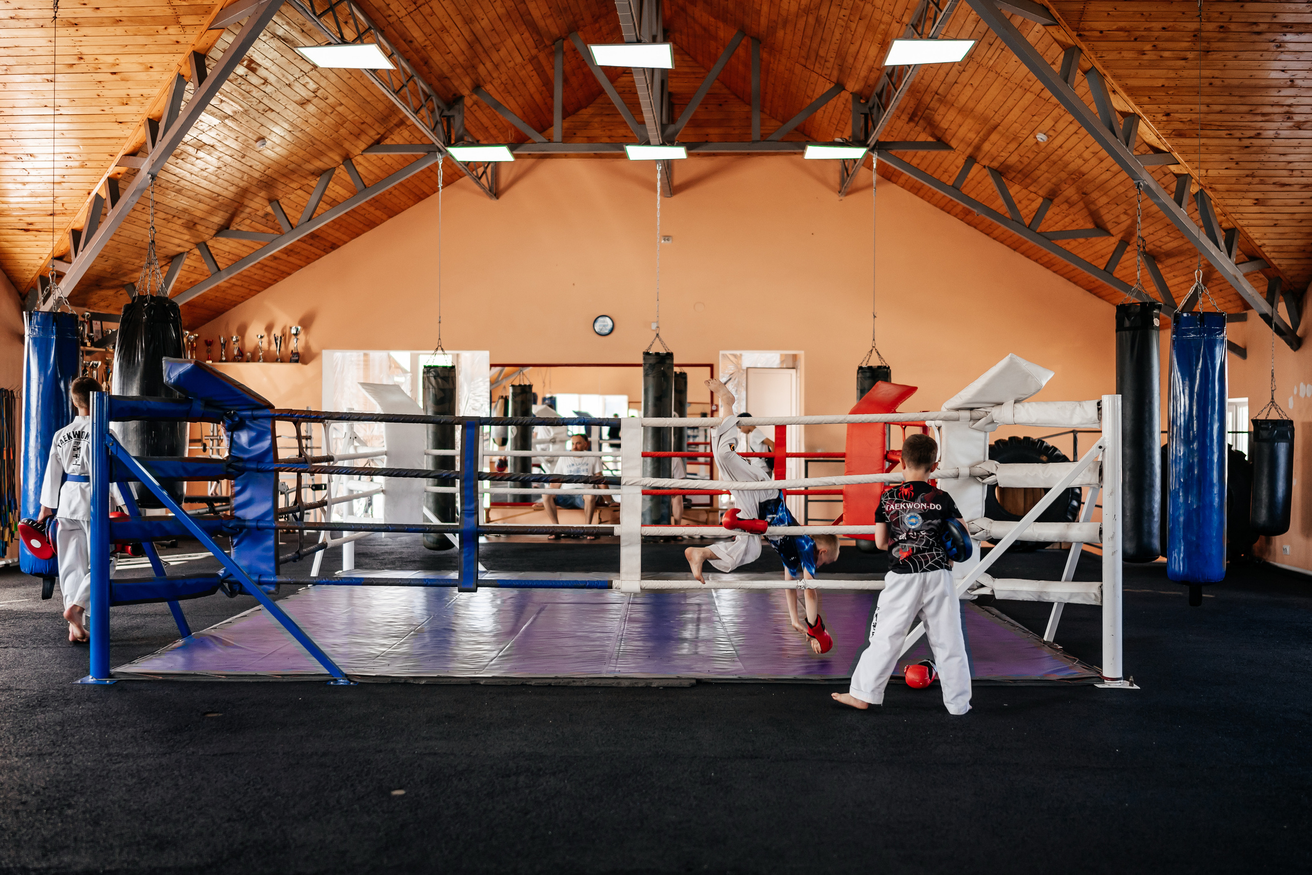 Съемка спортивных мероприятий. Taekwondo/2023. Семейный фотограф в Москве Ирина Жур