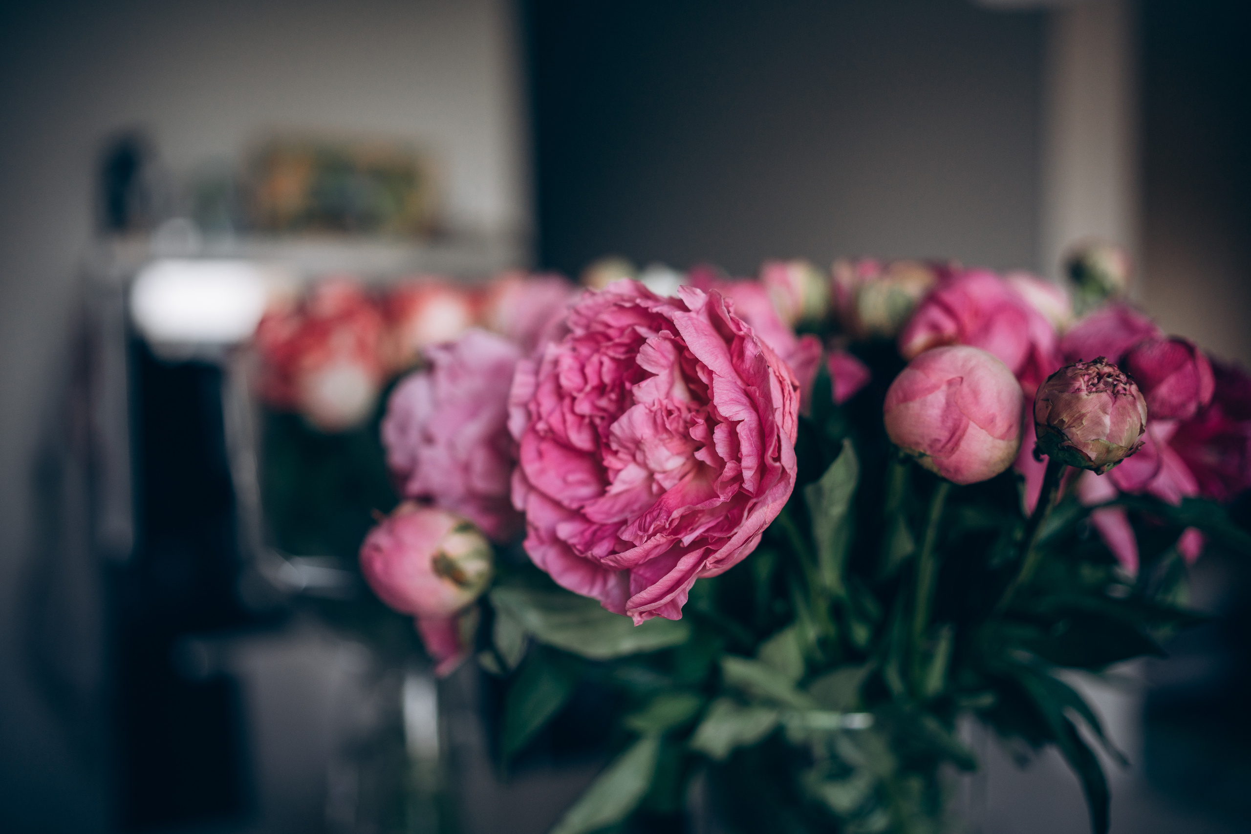 Family d. Семейный фотограф в Москве Ирина Жур