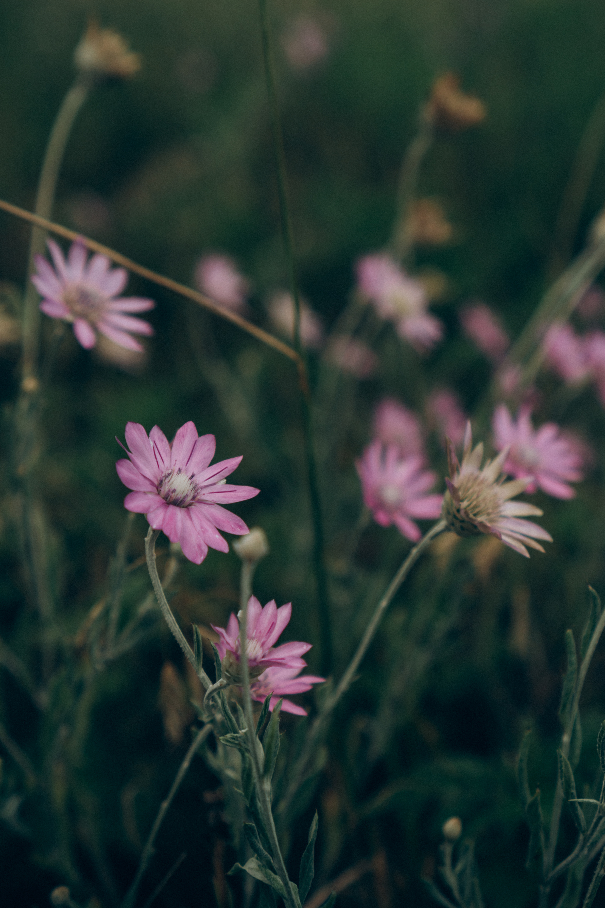 Slava. Семейный фотограф в Москве Ирина Жур