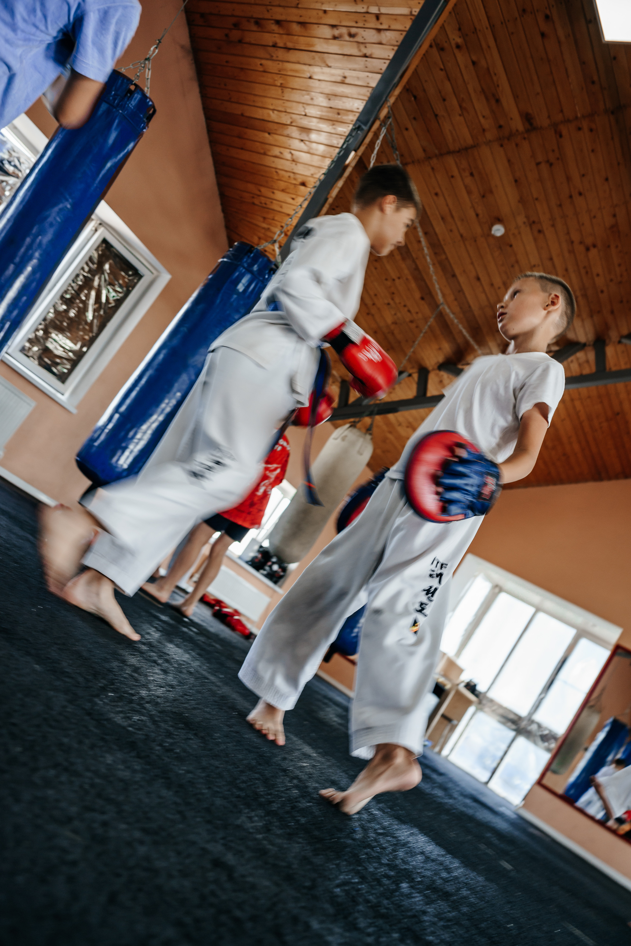 Съемка спортивных мероприятий. Taekwondo/2023. Семейный фотограф в Москве Ирина Жур