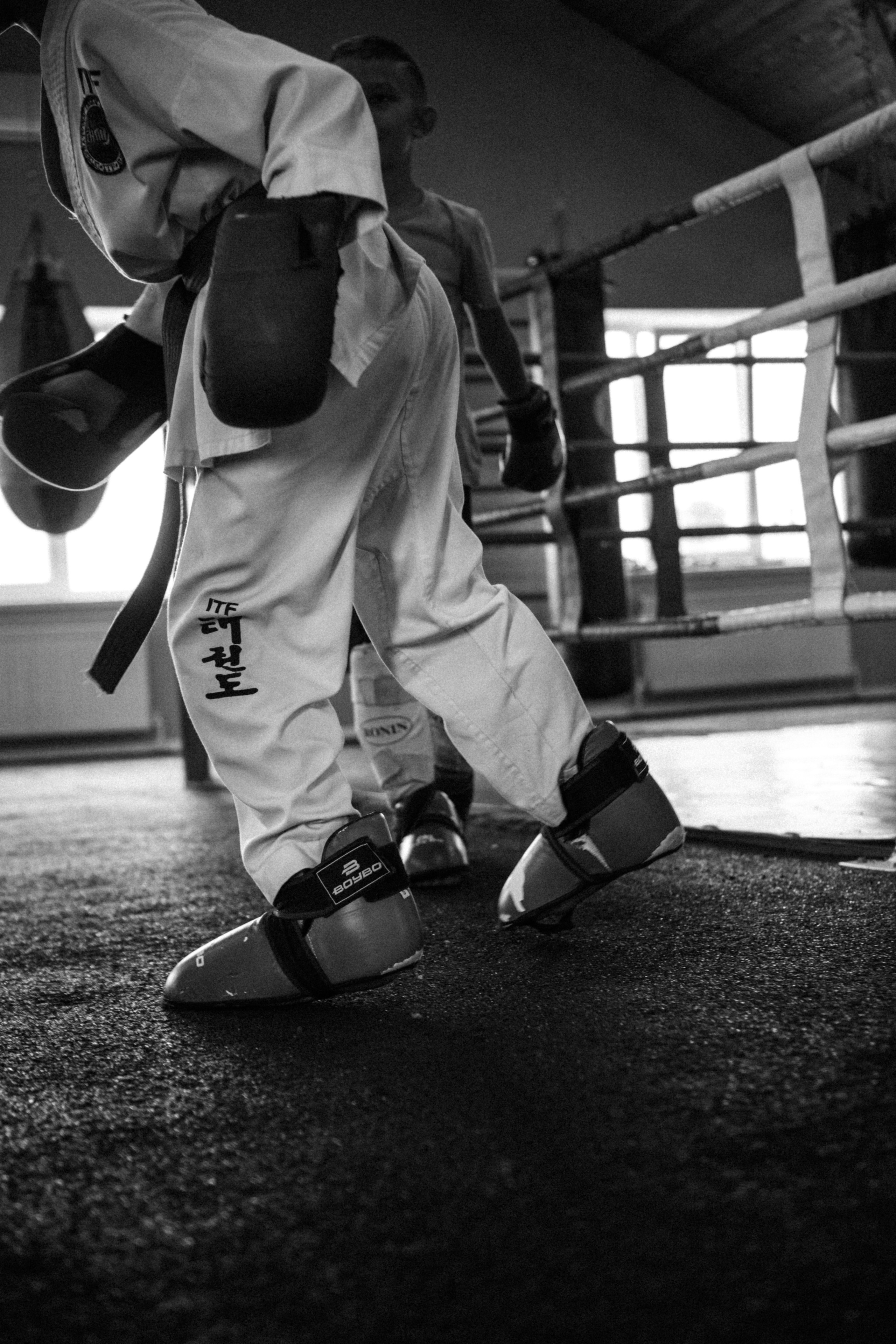 Съемка спортивных мероприятий. Taekwondo/2022. Семейный фотограф в Москве Ирина Жур