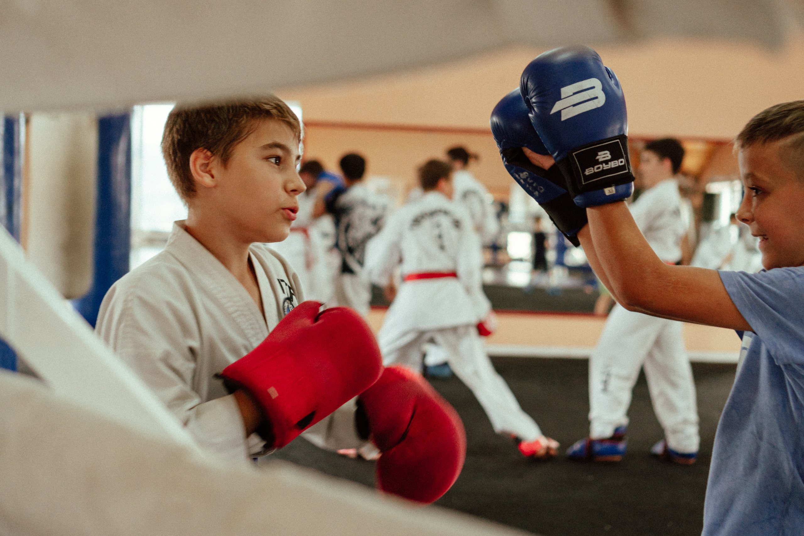 Съемка спортивных мероприятий. Taekwondo/2022. Семейный фотограф в Москве Ирина Жур