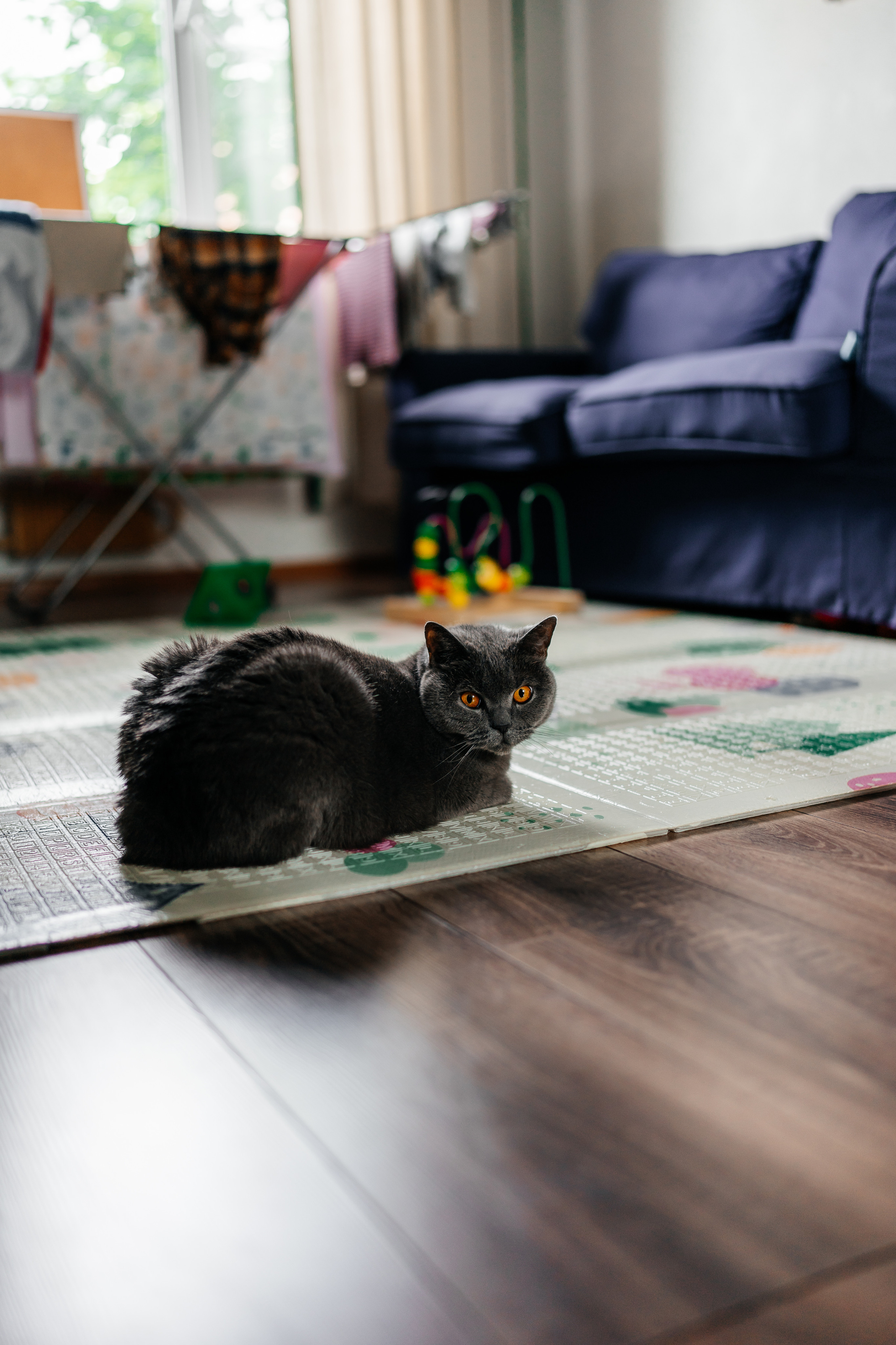 Домашняя семейная фотосессия в Москве. Семейный фотограф в Москве Ирина Жур