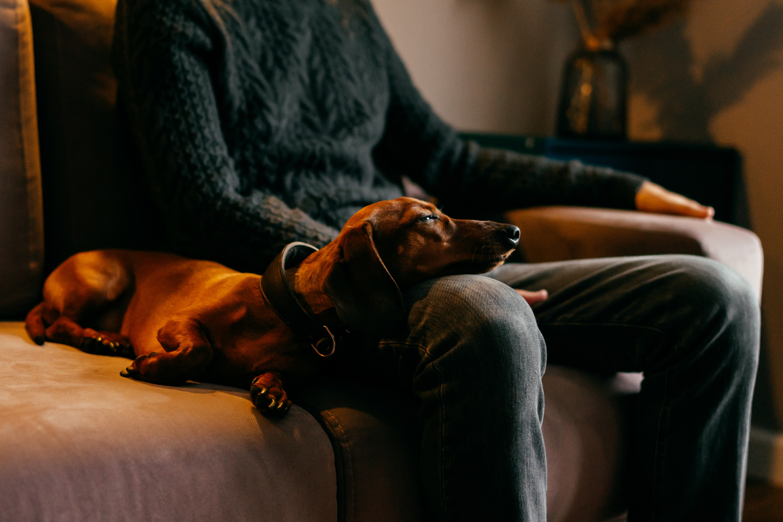 Домашняя семейная фотосессия в кругу семьи. Семейный фотограф в Москве Ирина Жур