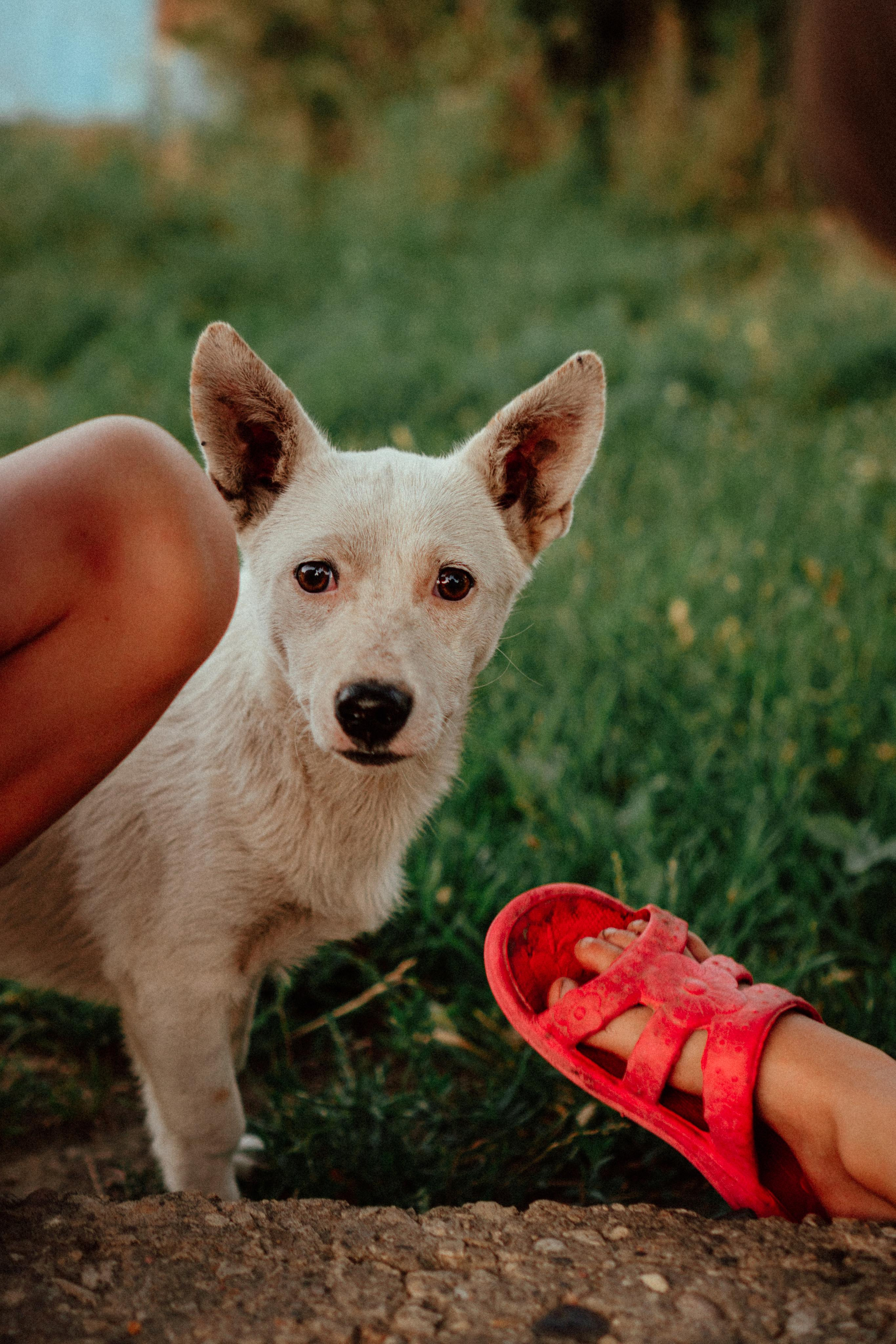 Лето — это маленькая жизнь. Семейный фотограф в Москве Ирина Жур