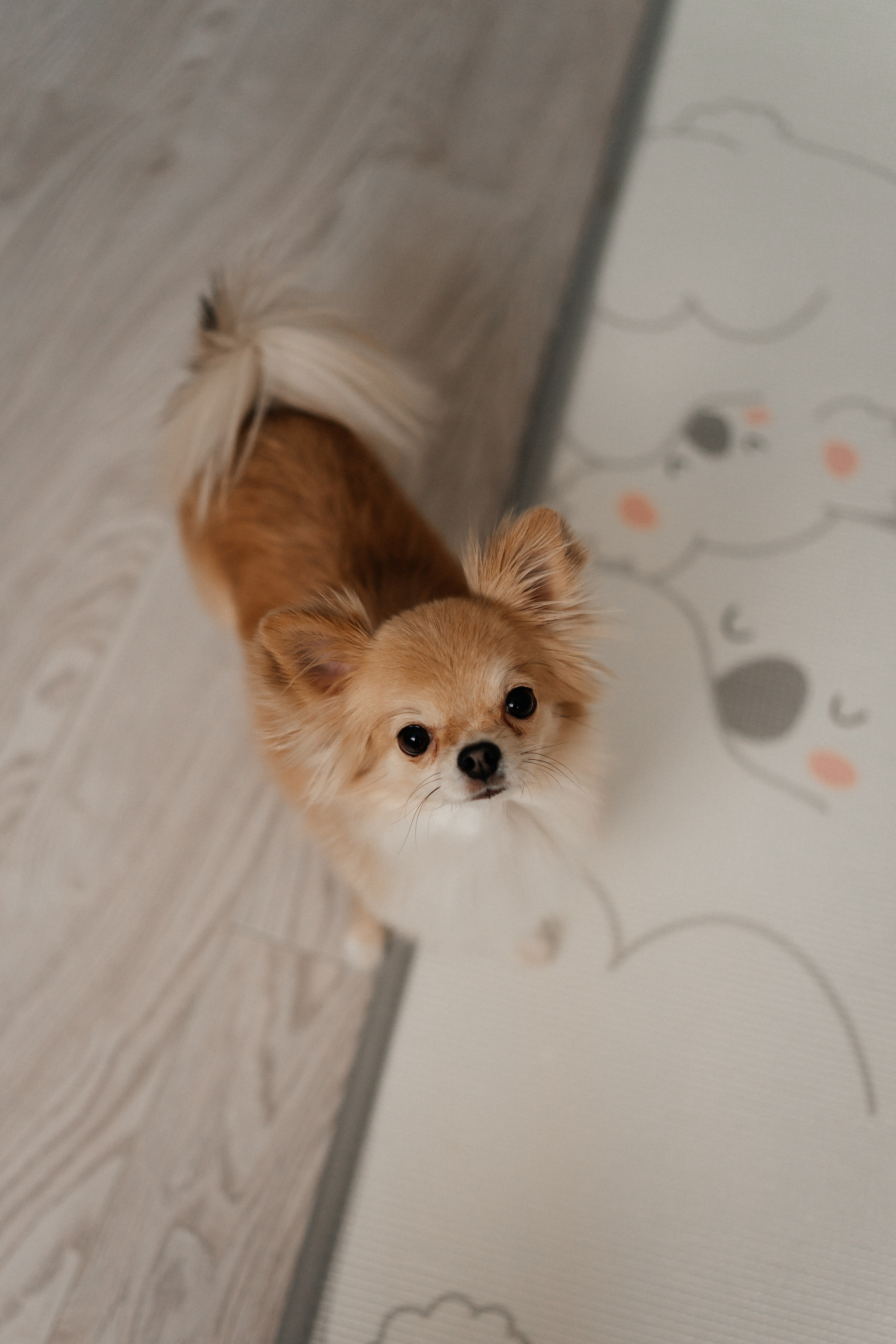 Roma. Семейный фотограф в Москве Ирина Жур