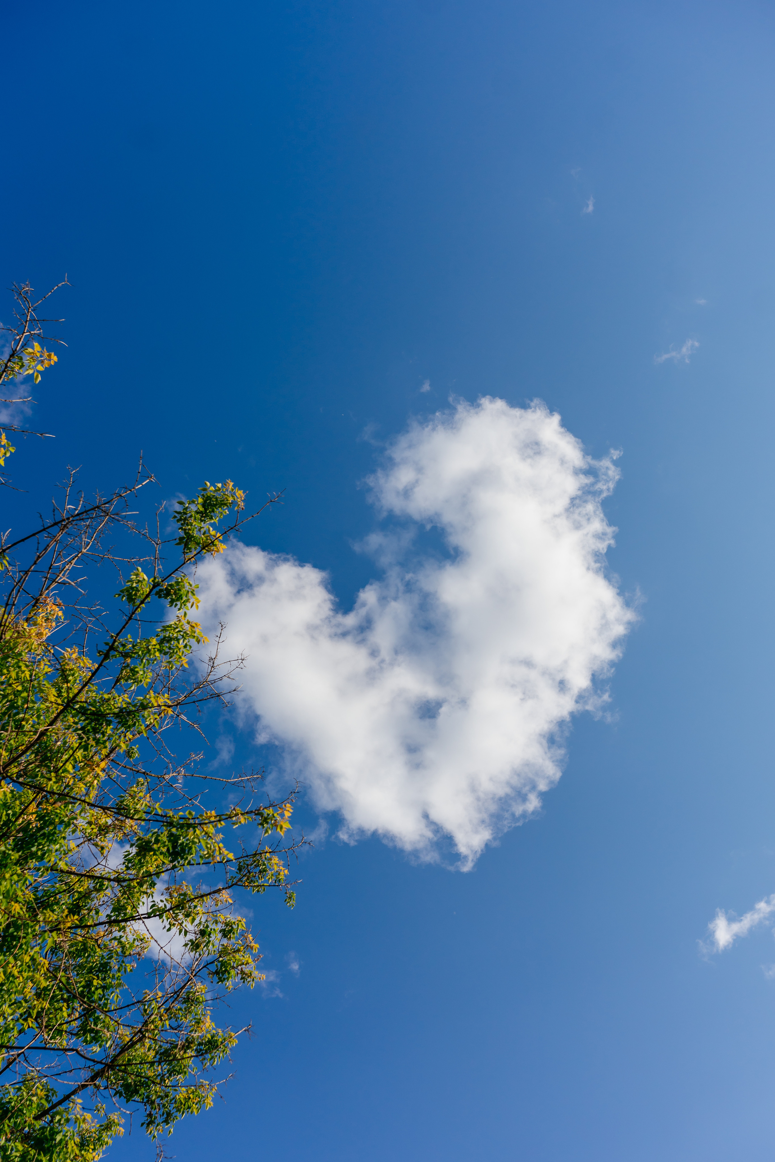 Домашняя семейная фотосессия в Москве. Семейный фотограф в Москве Ирина Жур