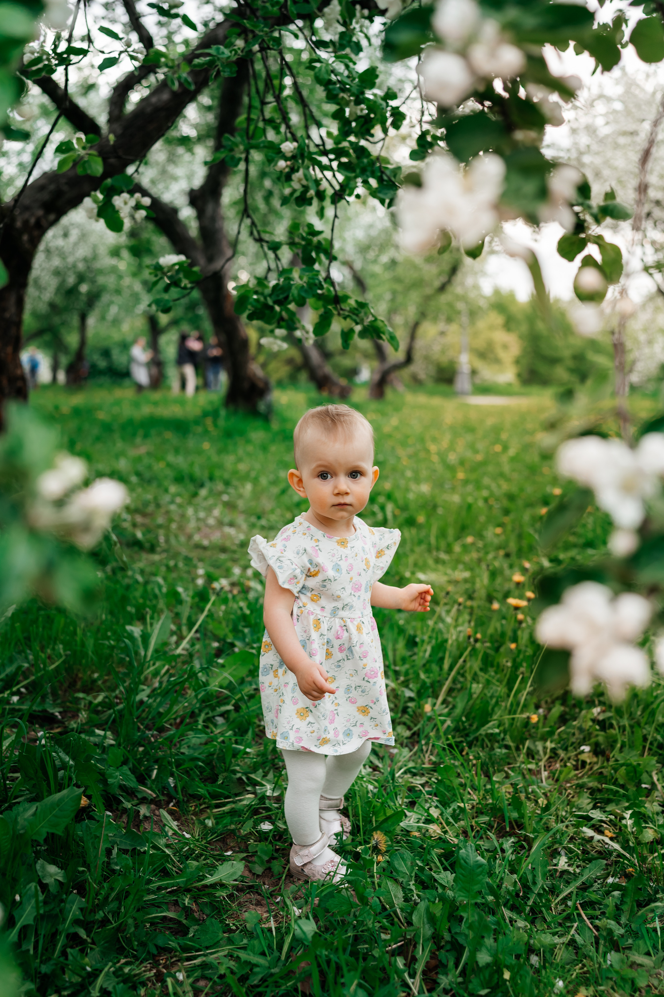 маленькая девочка стоит в яблоневом саду