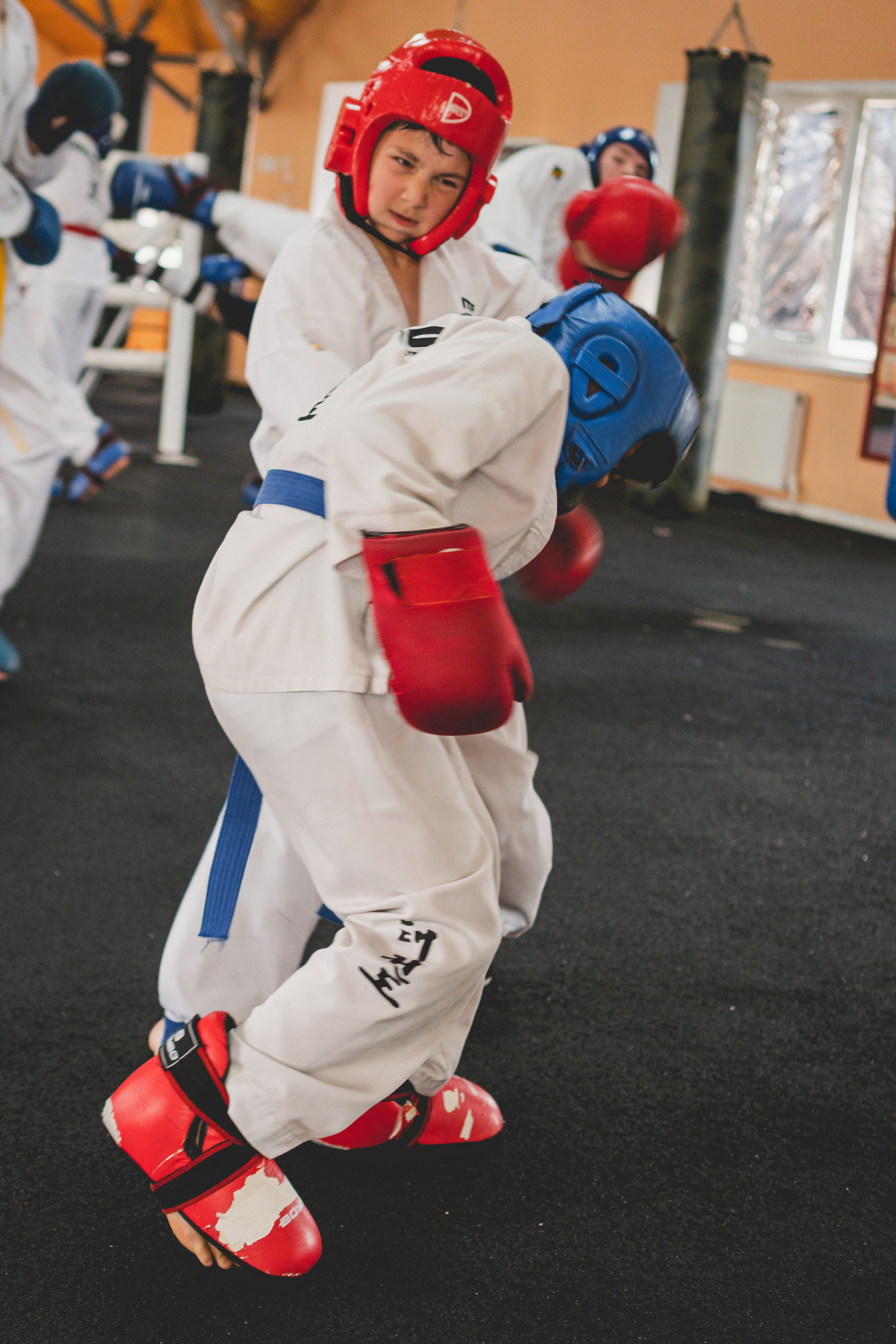 Съемка спортивных мероприятий. Taekwondo/2022. Семейный фотограф в Москве Ирина Жур