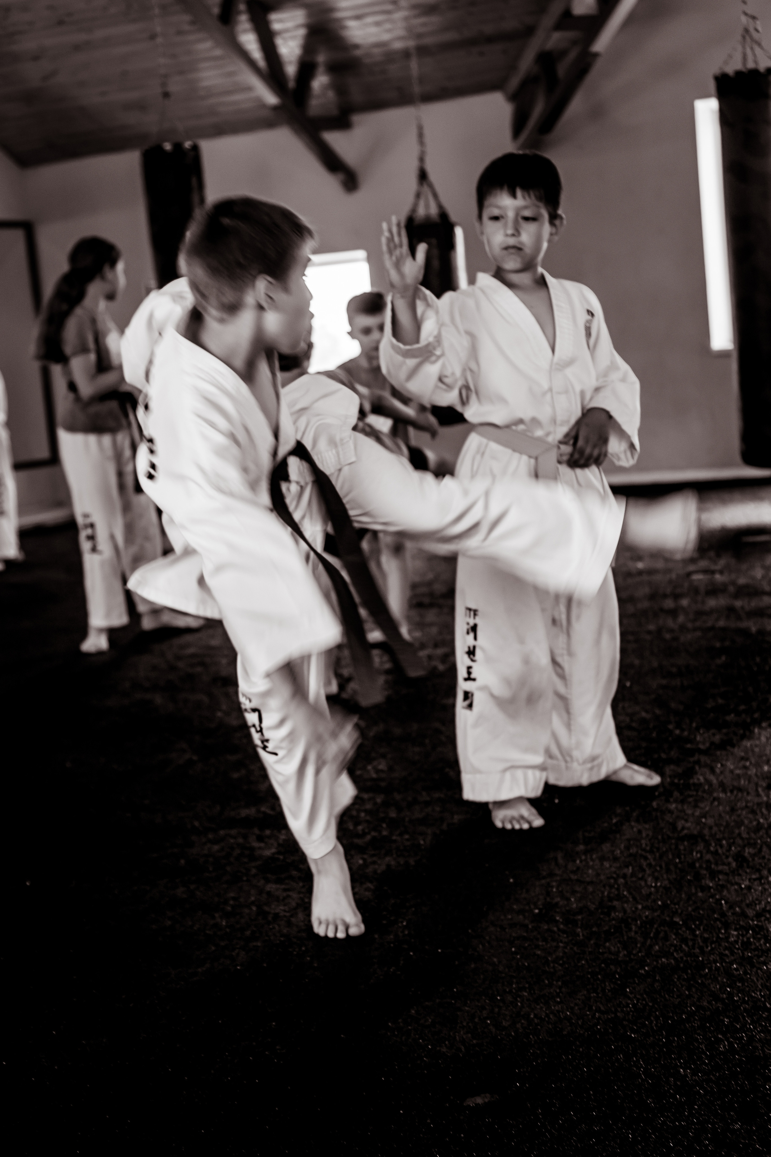 Съемка спортивных мероприятий. Taekwondo/2021. Семейный фотограф в Москве Ирина Жур