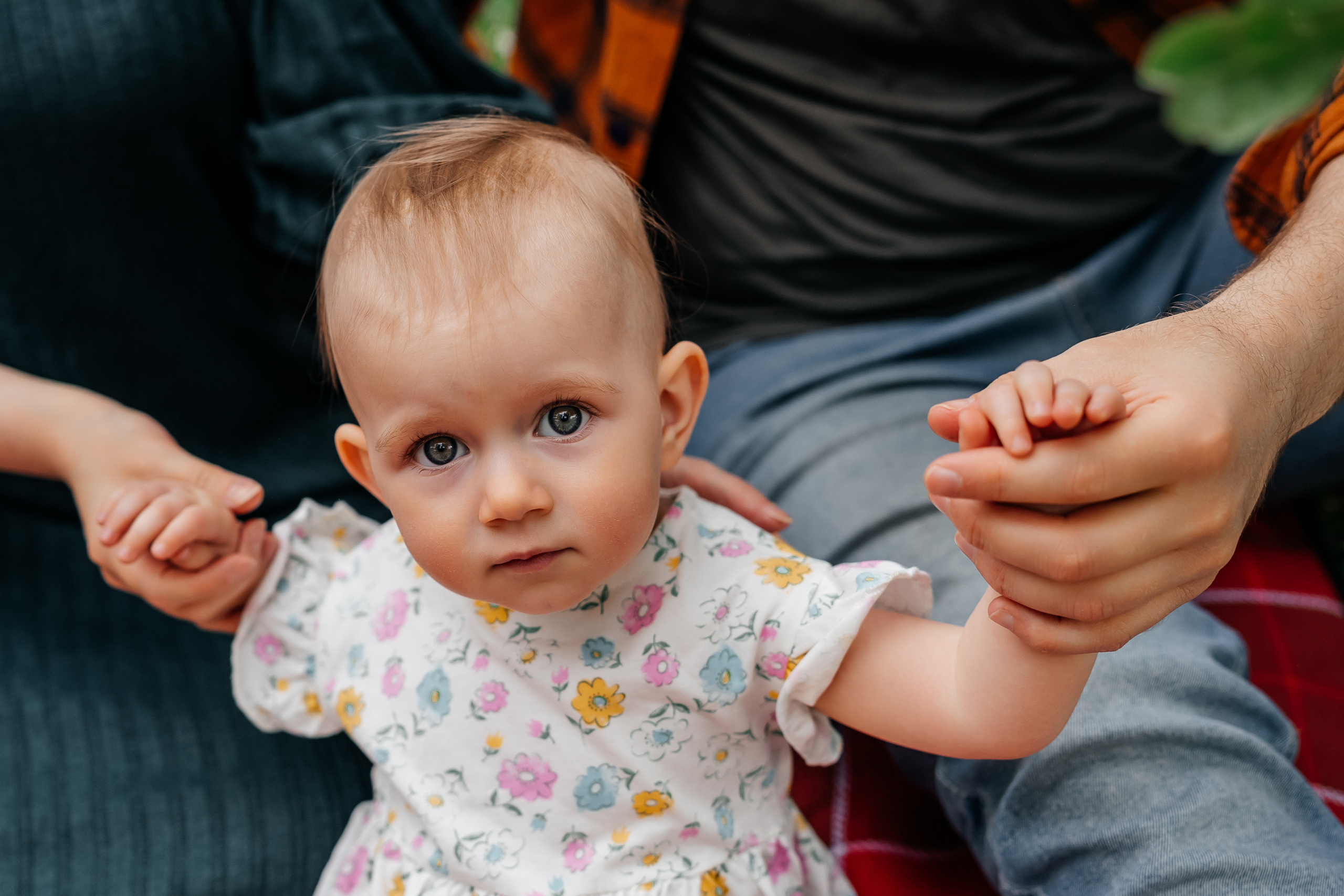 Семейная фотосессия в яблоневом саду. Семейный фотограф в Москве Ирина Жур