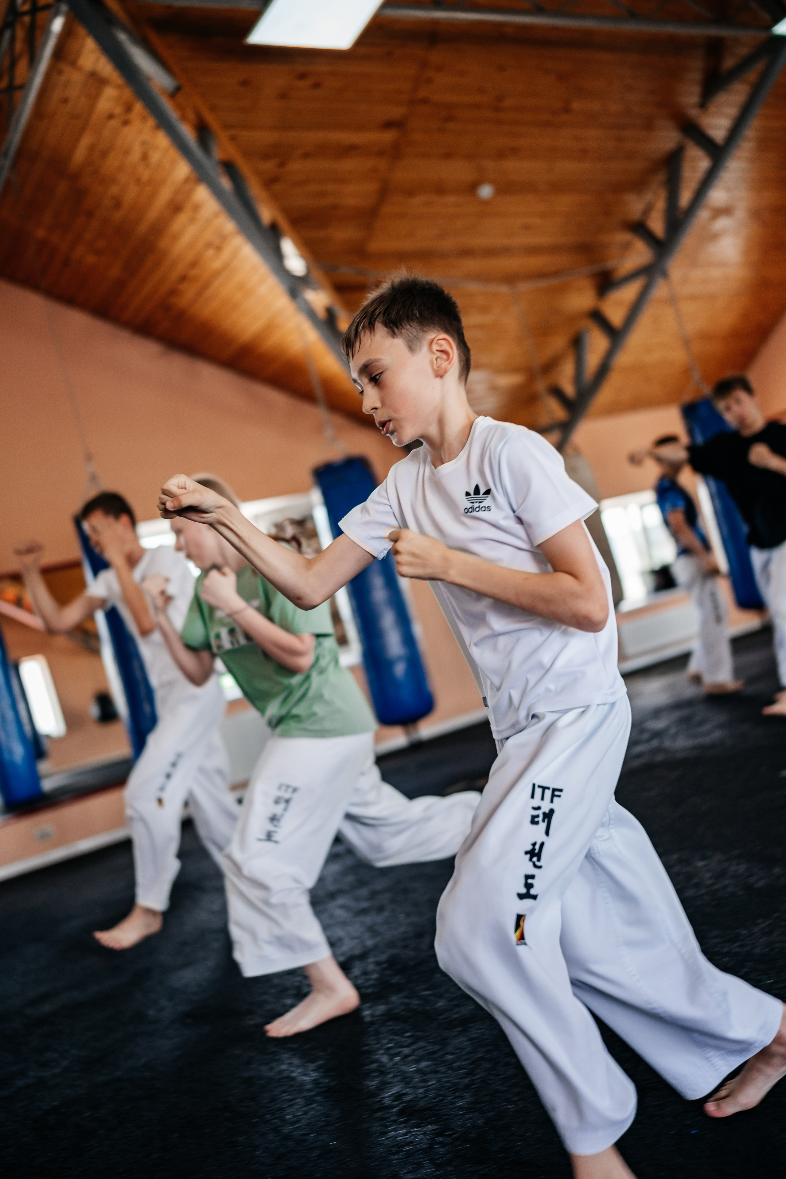 Съемка спортивных мероприятий. Taekwondo/2023. Семейный фотограф в Москве Ирина Жур