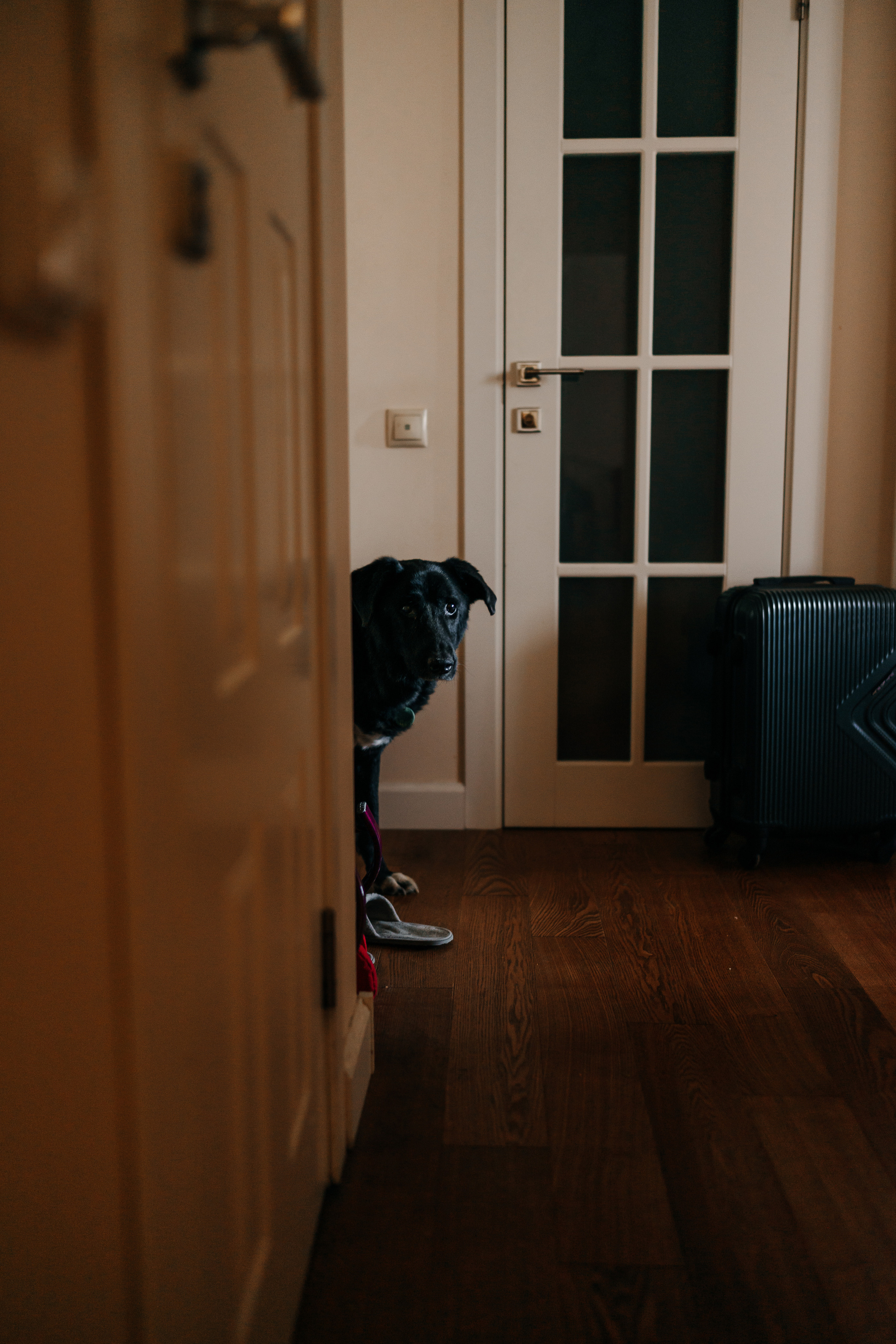 Ariana. Семейный фотограф в Москве Ирина Жур