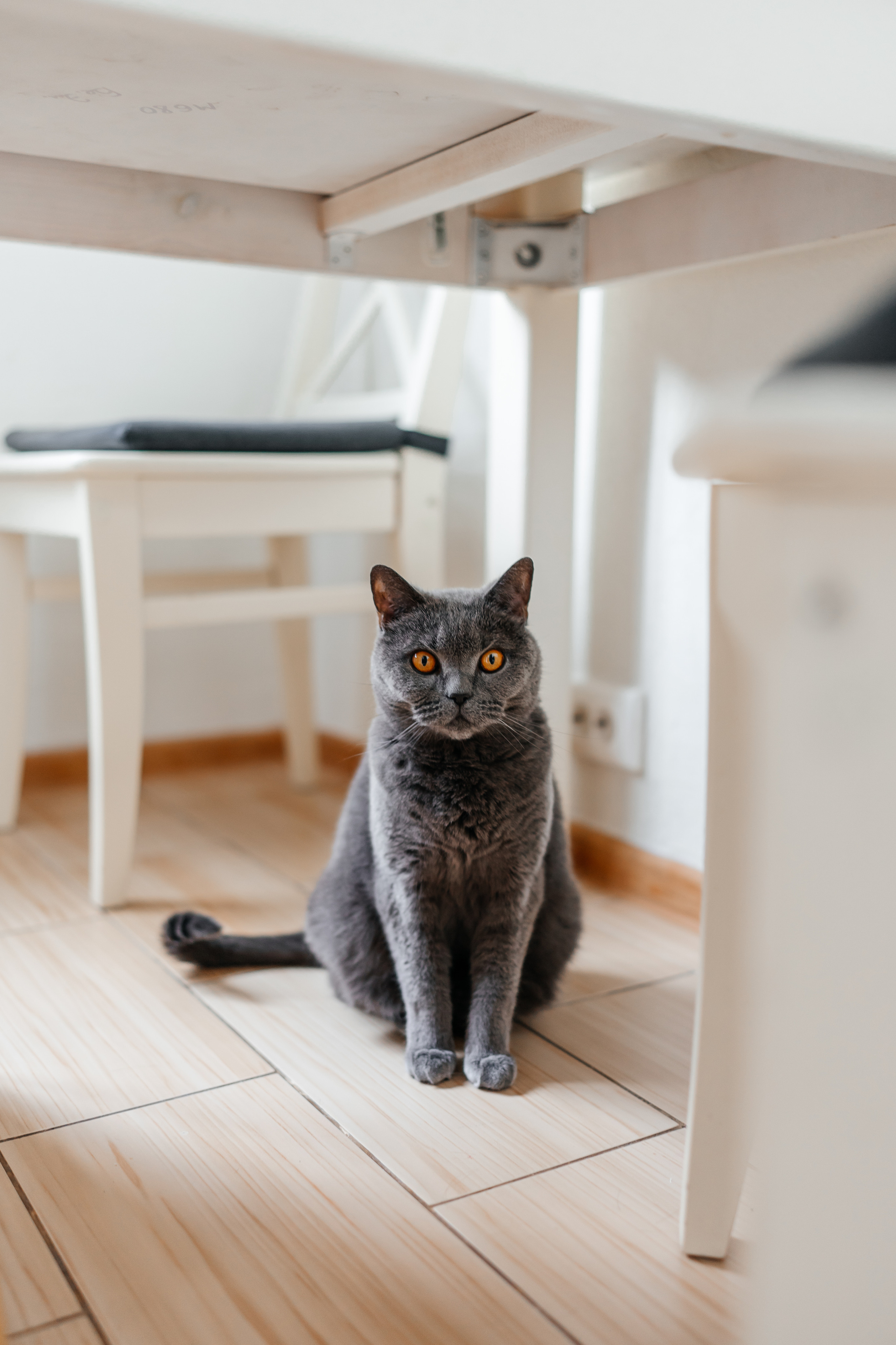 семейная съёмка