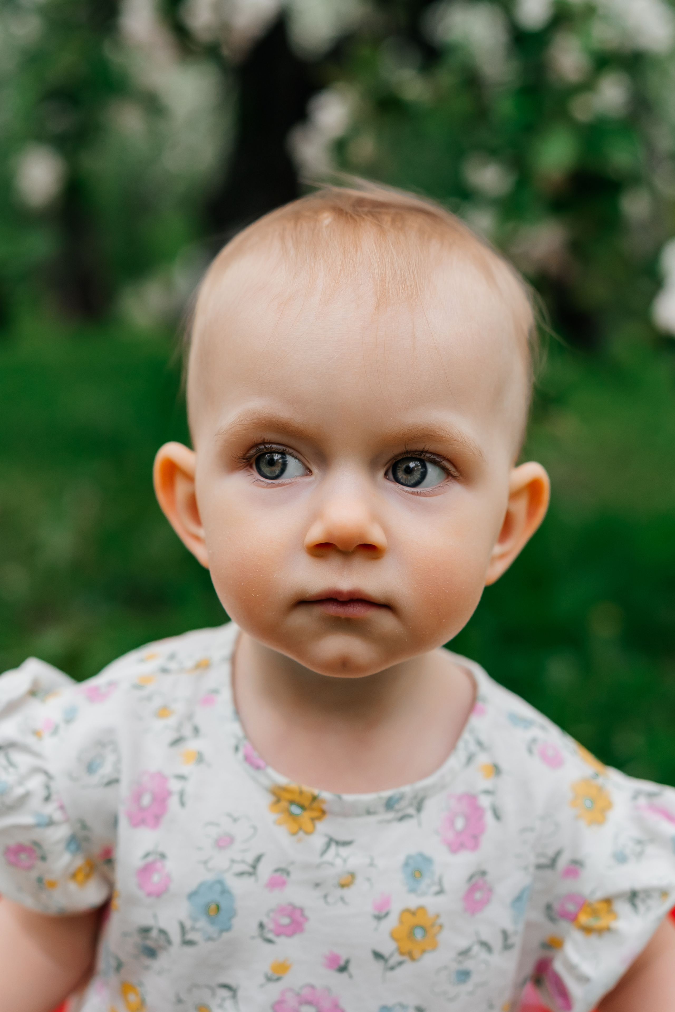 Семейная фотосессия в яблоневом саду. Семейный фотограф в Москве Ирина Жур