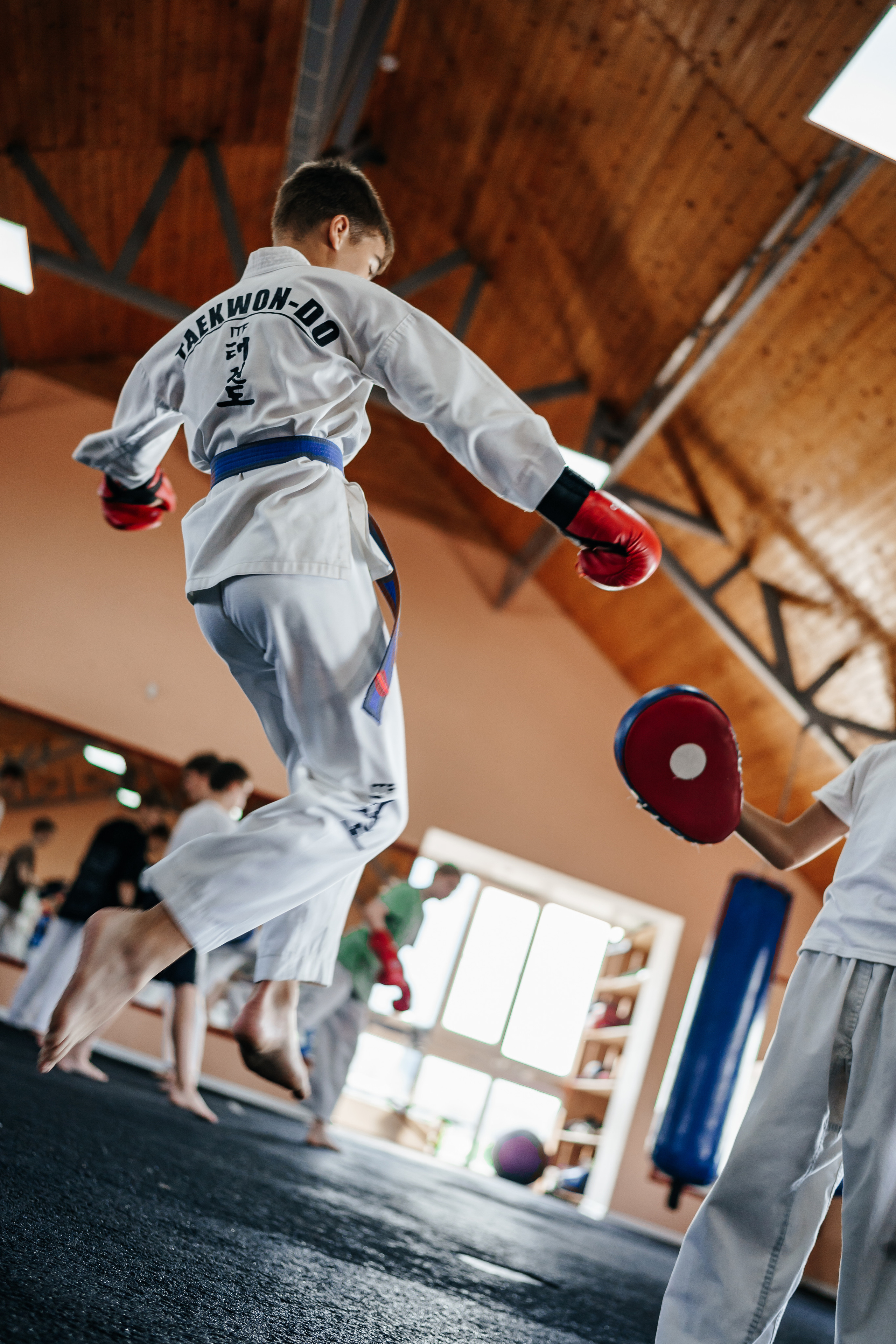 Съемка спортивных мероприятий. Taekwondo/2023. Семейный фотограф в Москве Ирина Жур