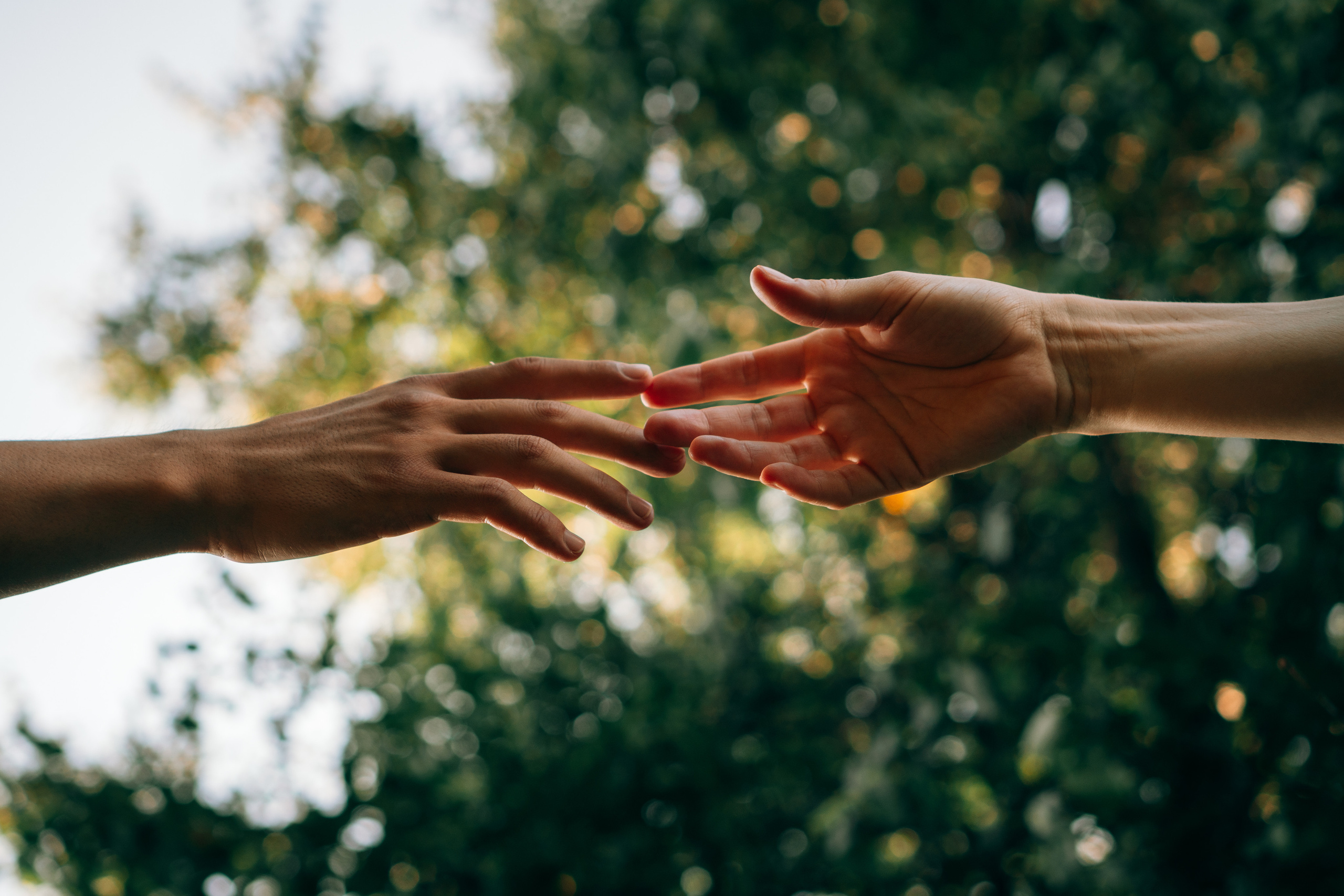 Семейная фотосессия на природе в Москве. Семейный фотограф в Москве Ирина Жур