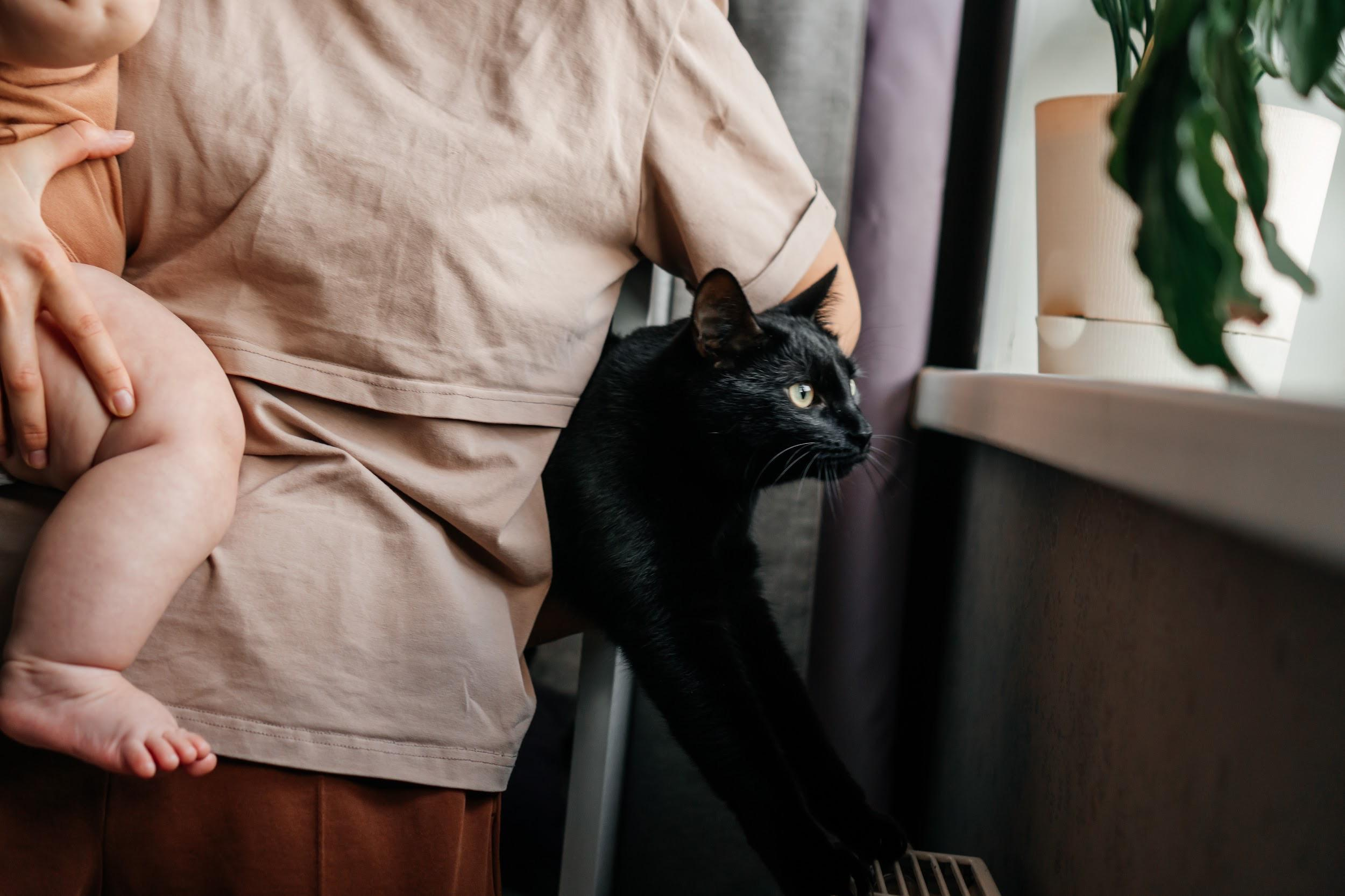 Домашние питомцы. Семейный фотограф в Москве Ирина Жур