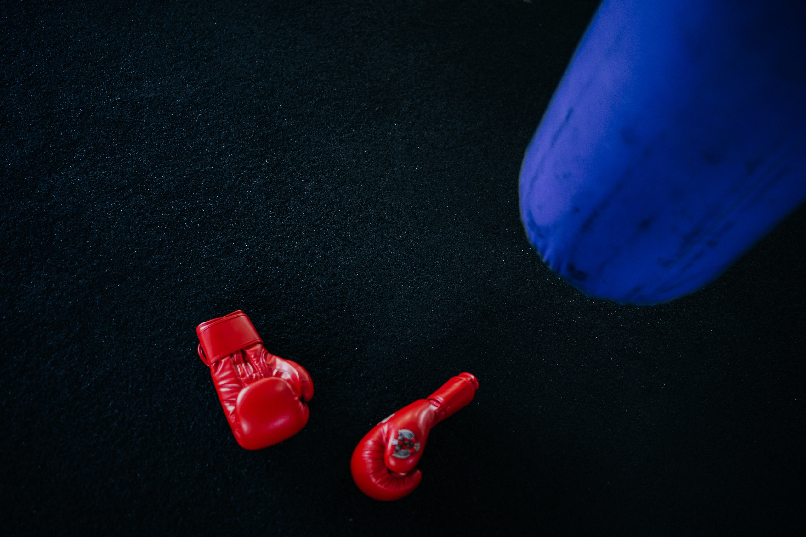 Съемка спортивных мероприятий. Taekwondo/2023. Семейный фотограф в Москве Ирина Жур