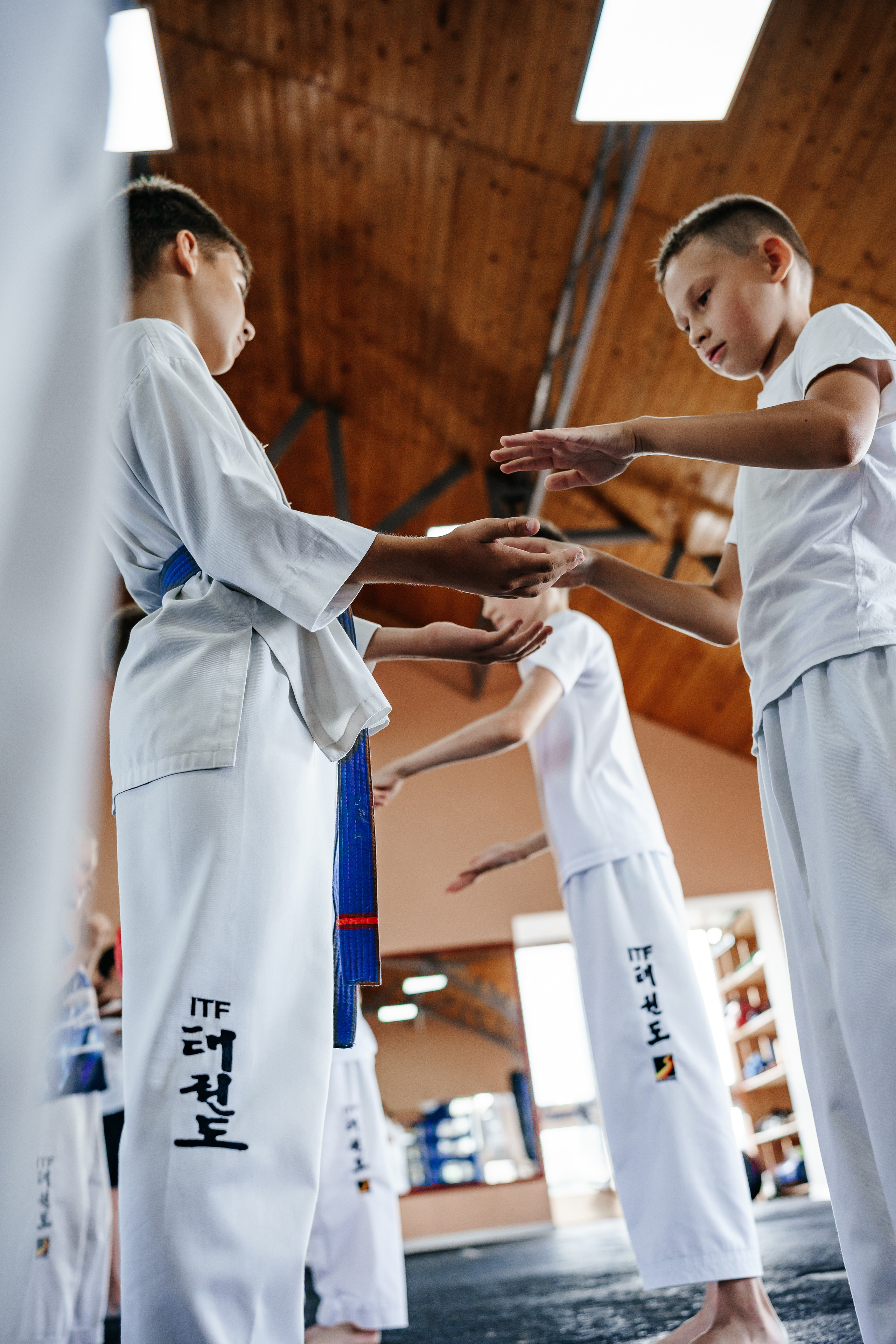 Съемка спортивных мероприятий. Taekwondo/2023. Семейный фотограф в Москве Ирина Жур