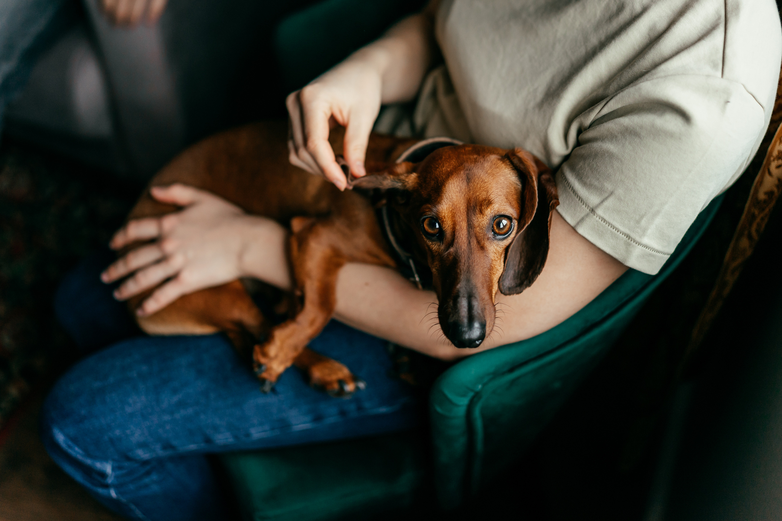 Домашняя семейная фотосессия в кругу семьи. Семейный фотограф в Москве Ирина Жур